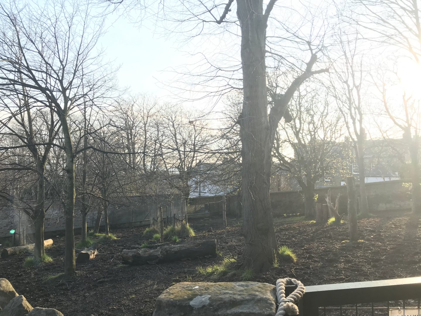 Former malayan tapir enclosure