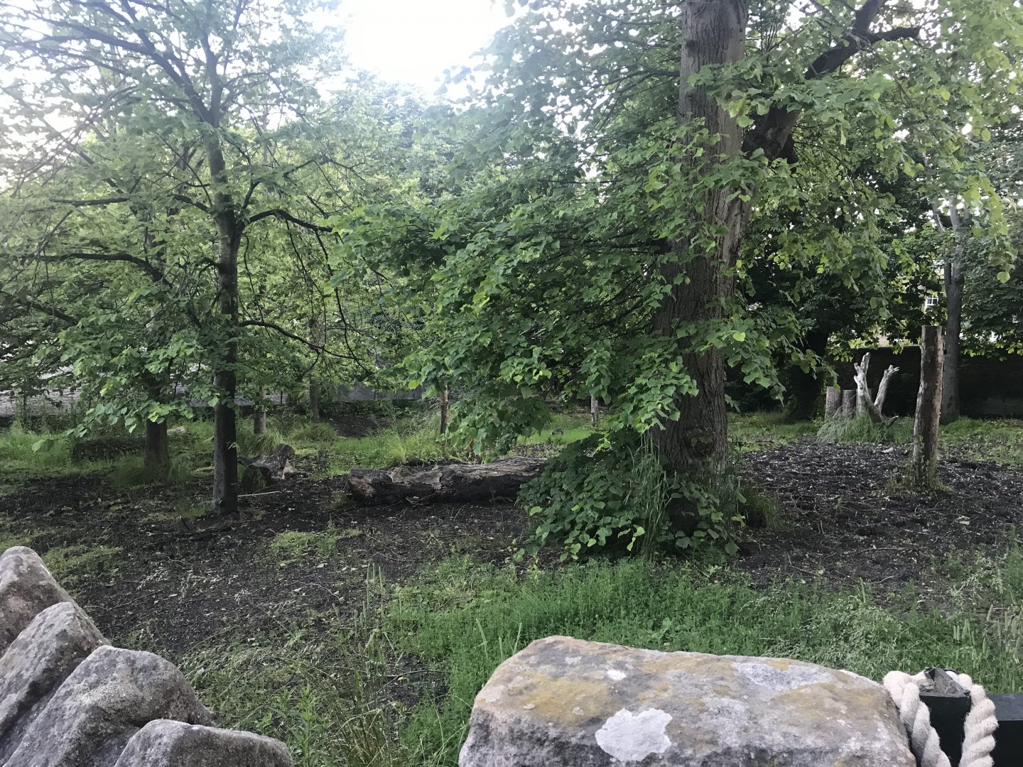 Former Malayan tapir enclosure