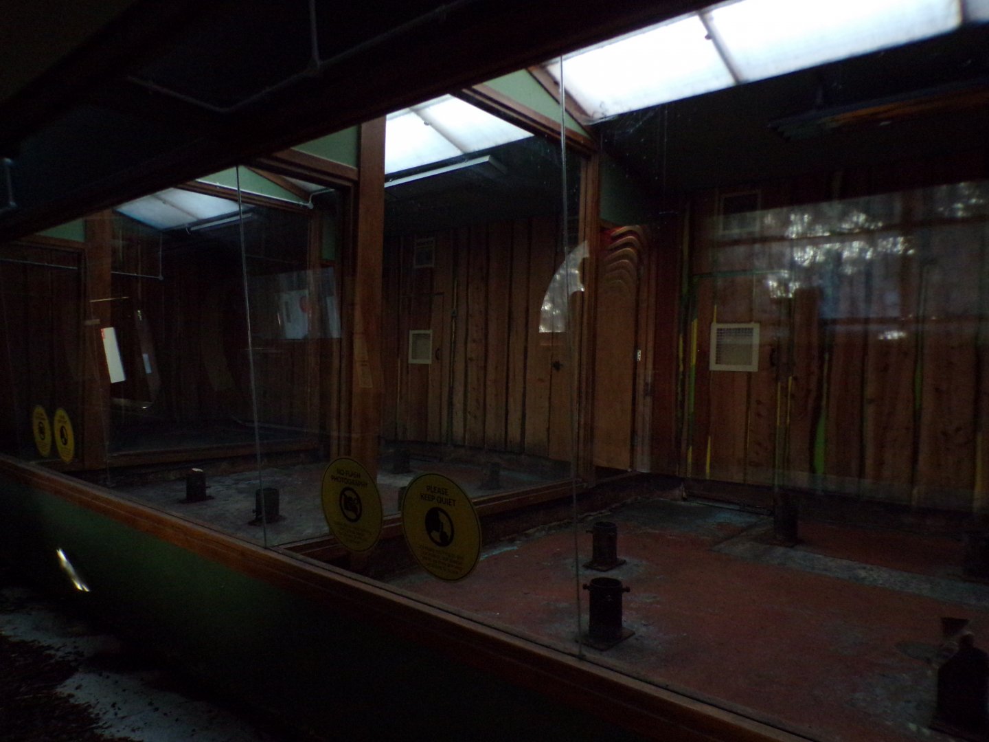 Former male koala enclosure now empty 11.11.23