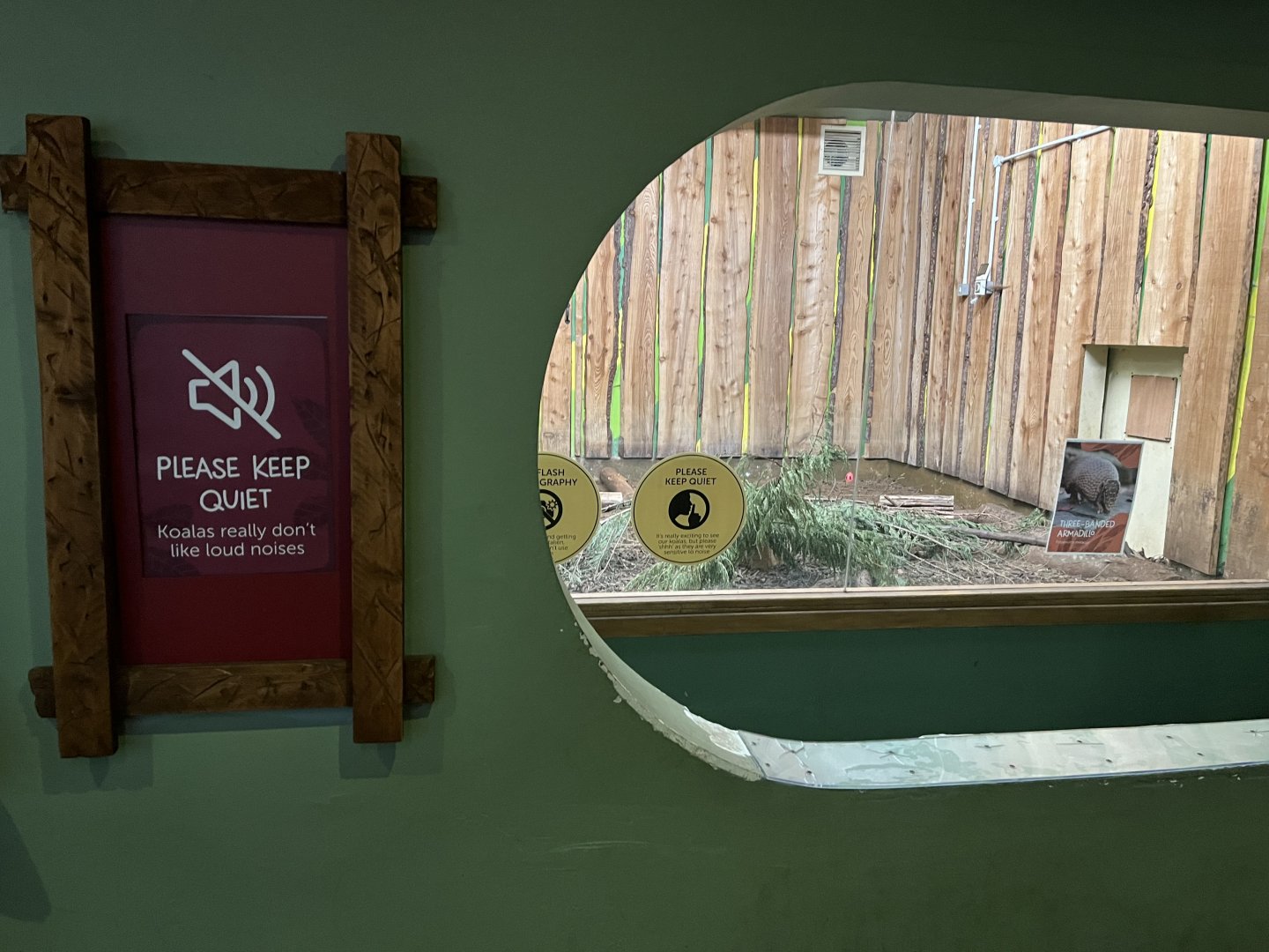 Former male koala enclosure (temporarily armadillo) 17.10.24