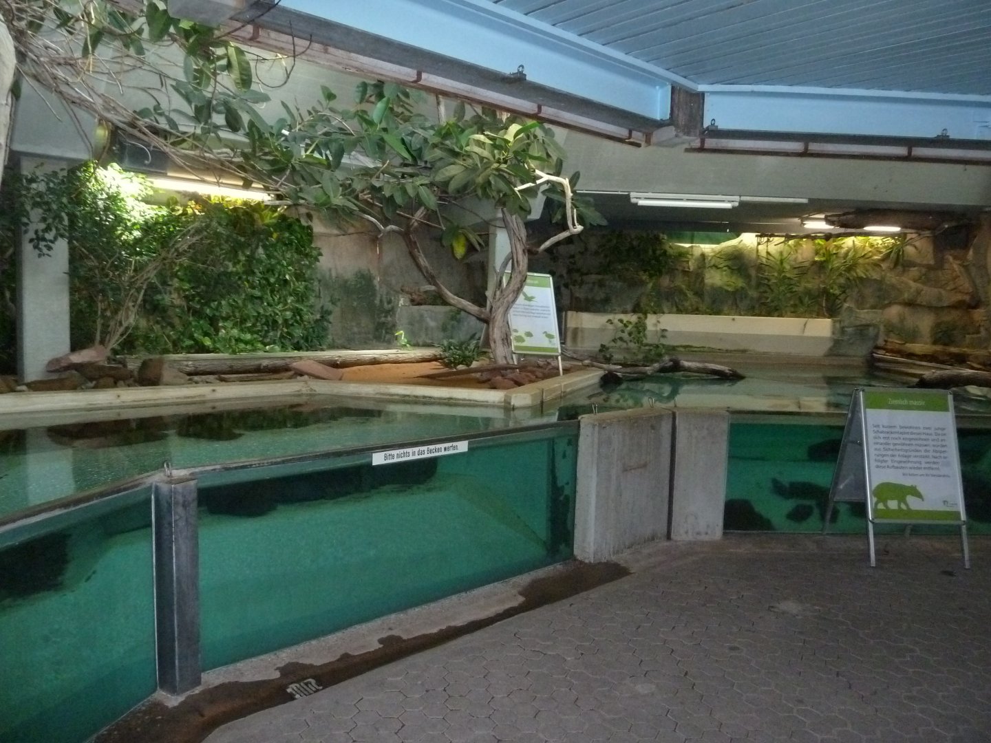 Former Manatee house - Malayan tapir enclosure