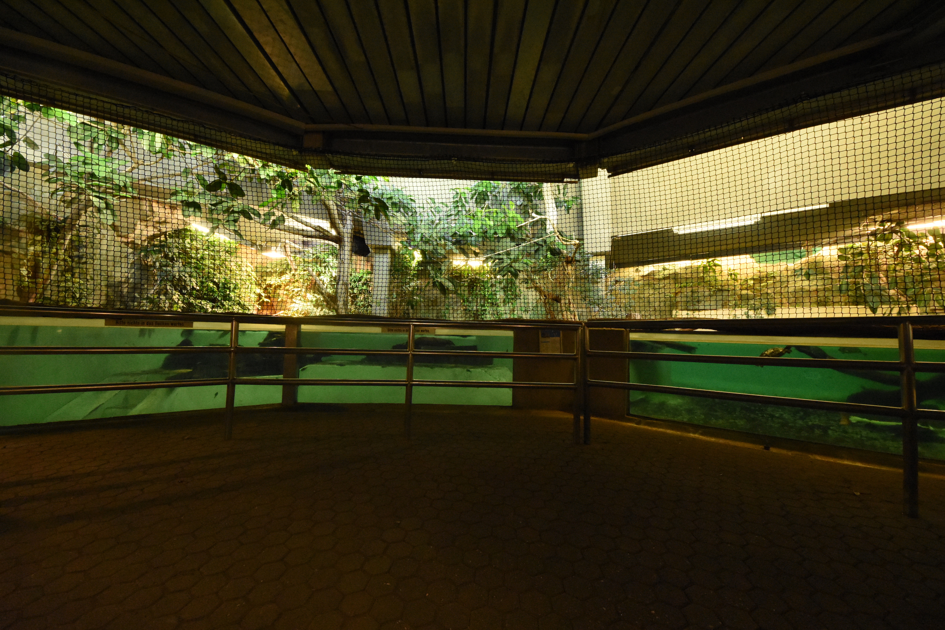 Former manatee pool complete size