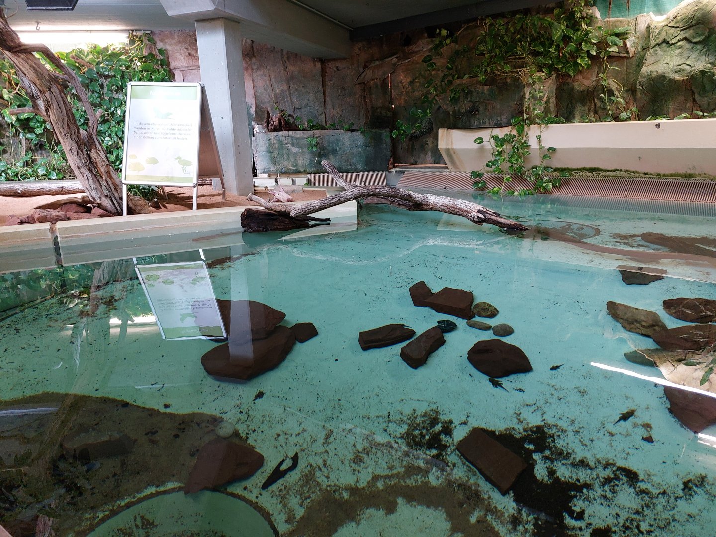 Former manatee pool