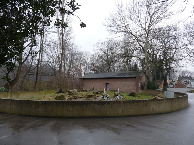 Former mandrill Exhibit