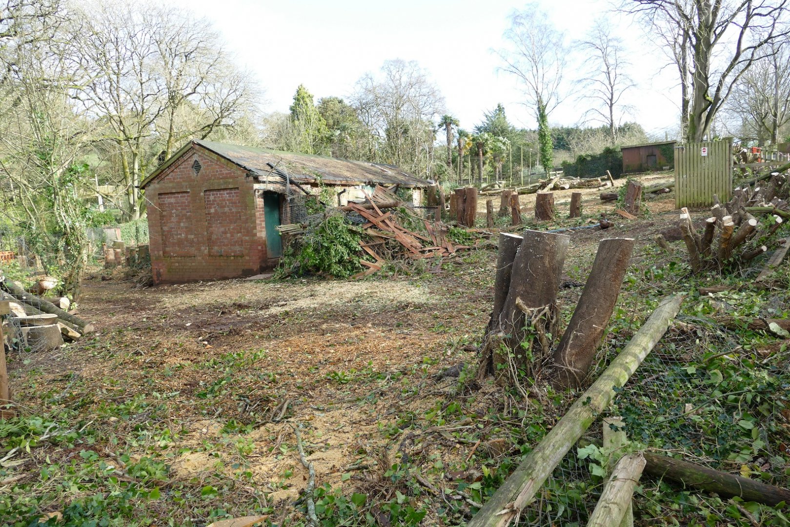 Former Maned Wolf enclosure, February 2020