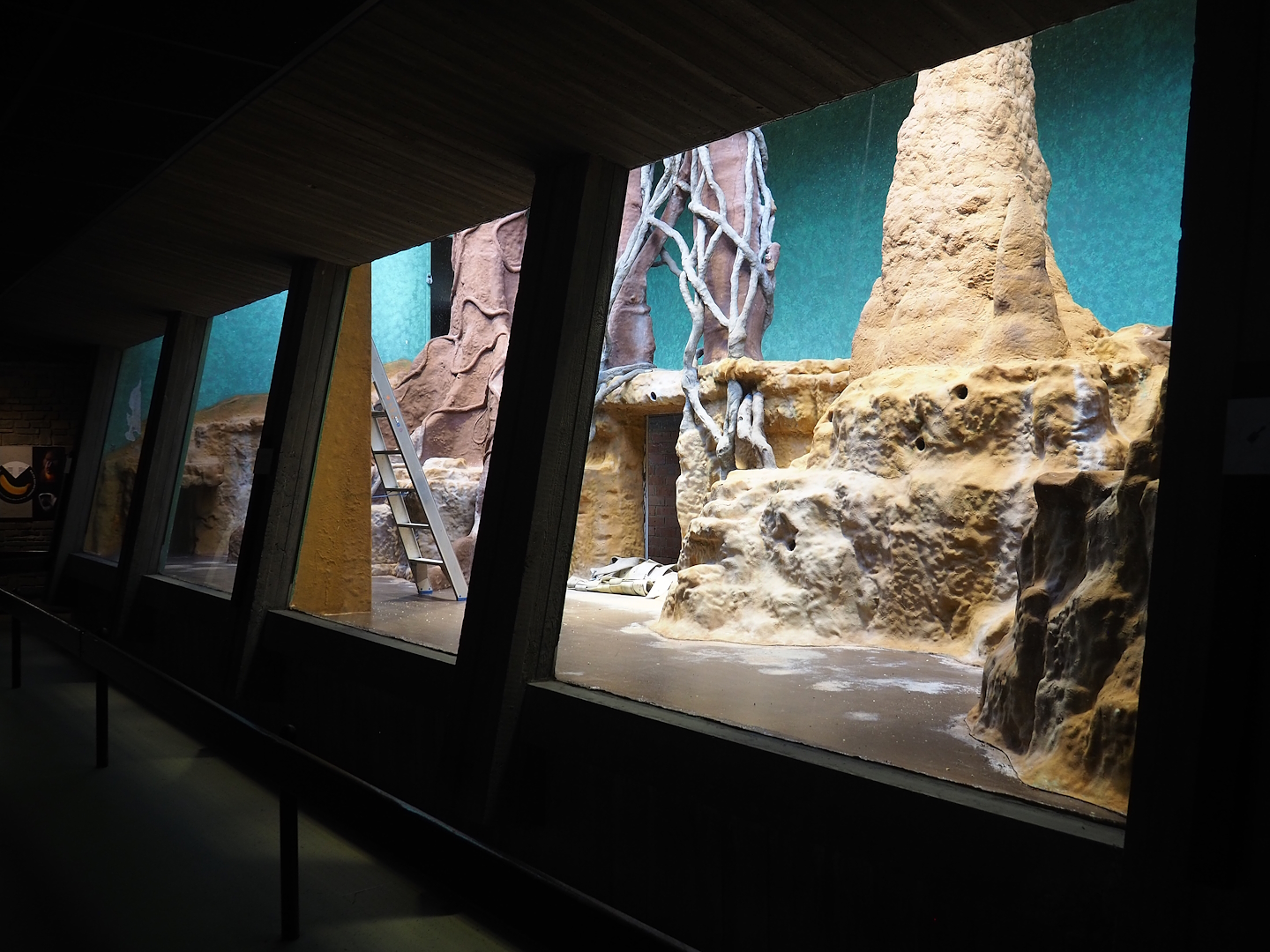 Former Mantled colobus being renovated to become Goodfellow's tree kangaroo exhibit, 2023-07-22