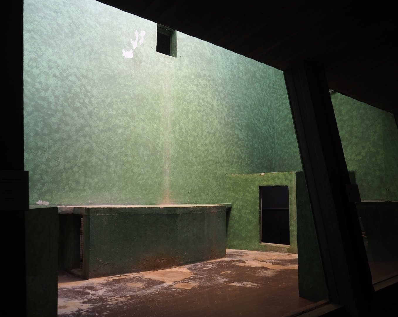 Former Mantled colobus being renovated to become Goodfellow's tree kangaroo exhibit, 2023-07-22