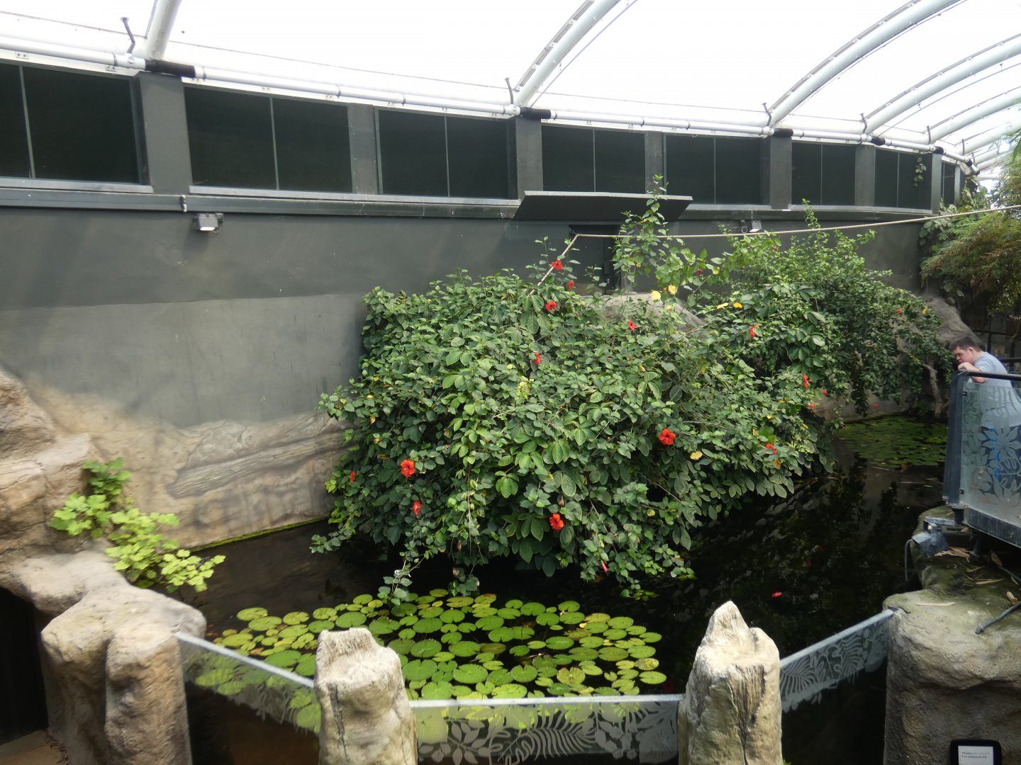 Former marmoset island