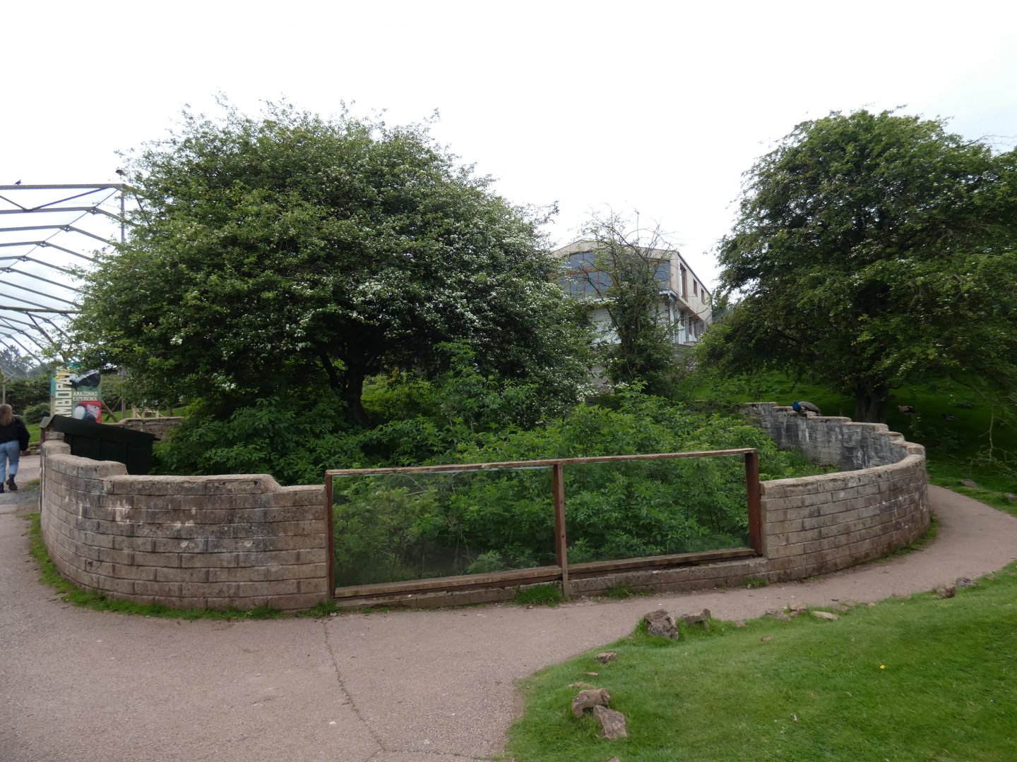 Former meerkat enclosure