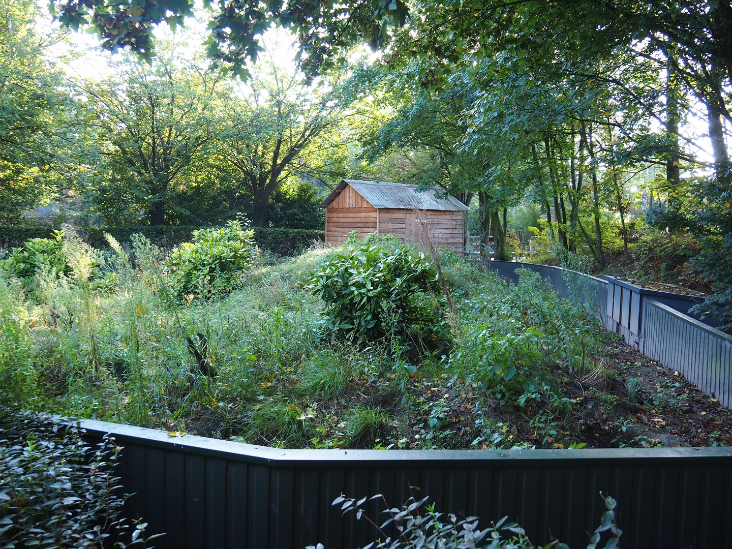 Former meerkat exhibit, 2022-10-09