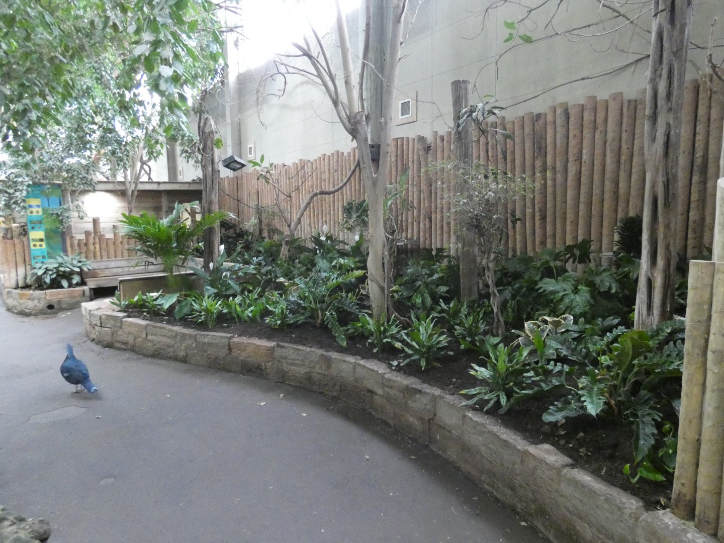 Former mouse deer enclosure