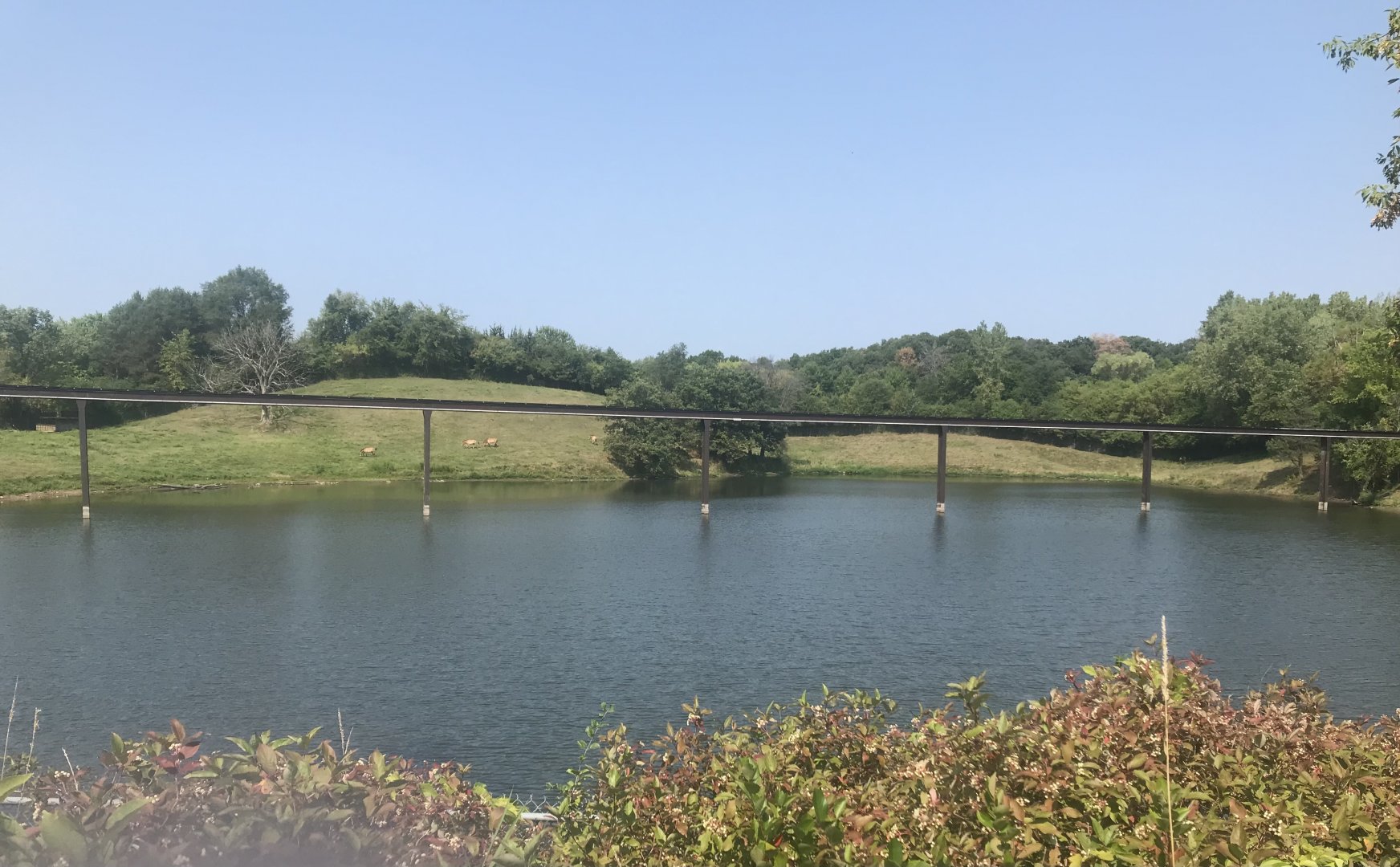 Former Musk Oxen exhibit (current Przewalski’s horse exhibit)