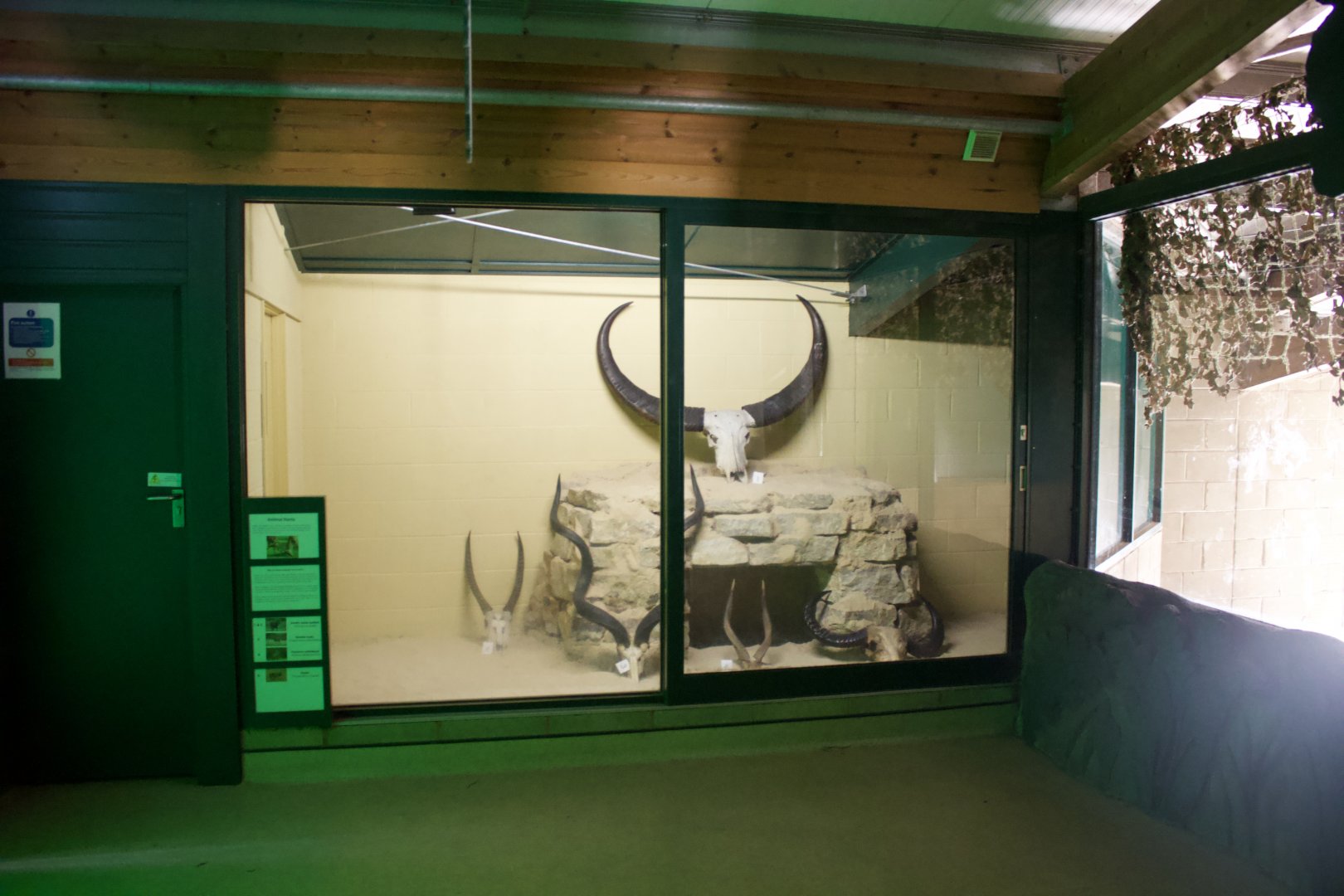 Former Nile Monitor Exhibit