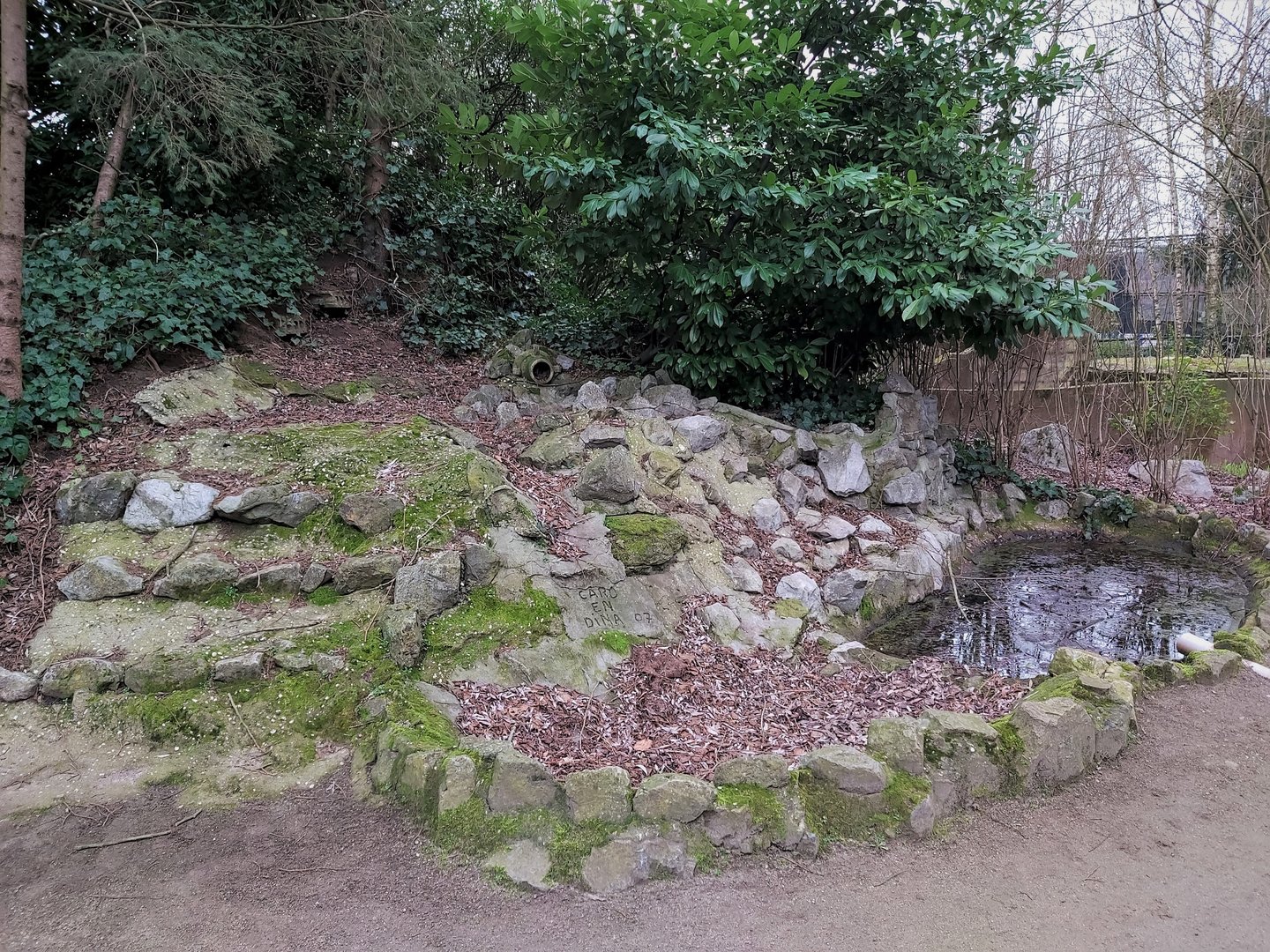 Former North American beaver enclosure