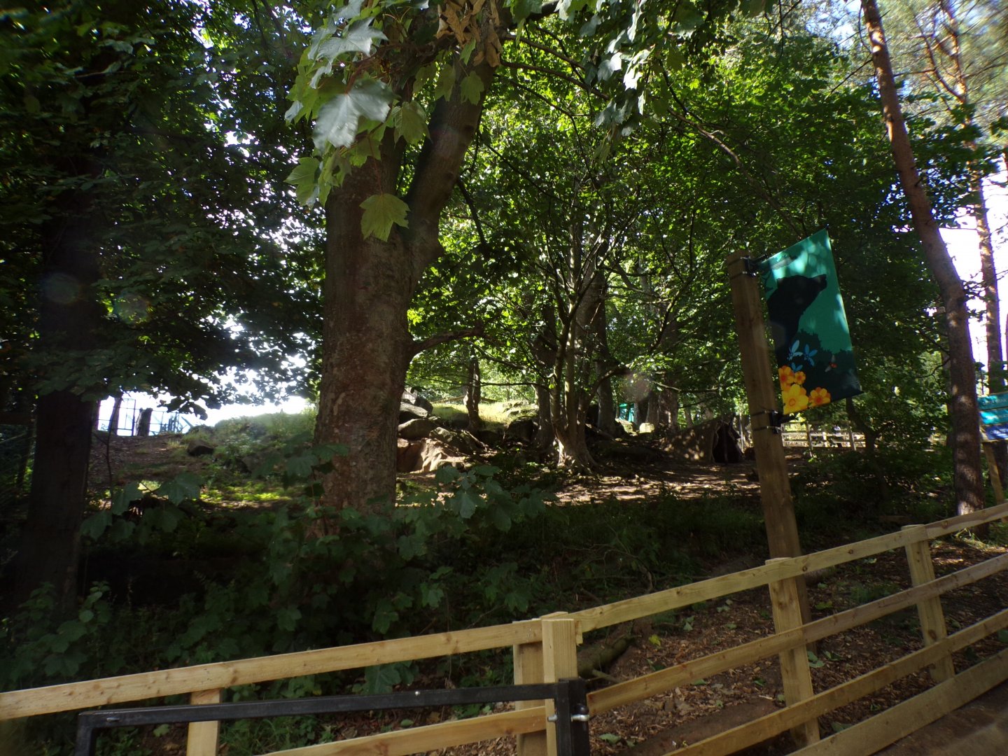 Former nyala enclosure (fence removed) 18.7.25