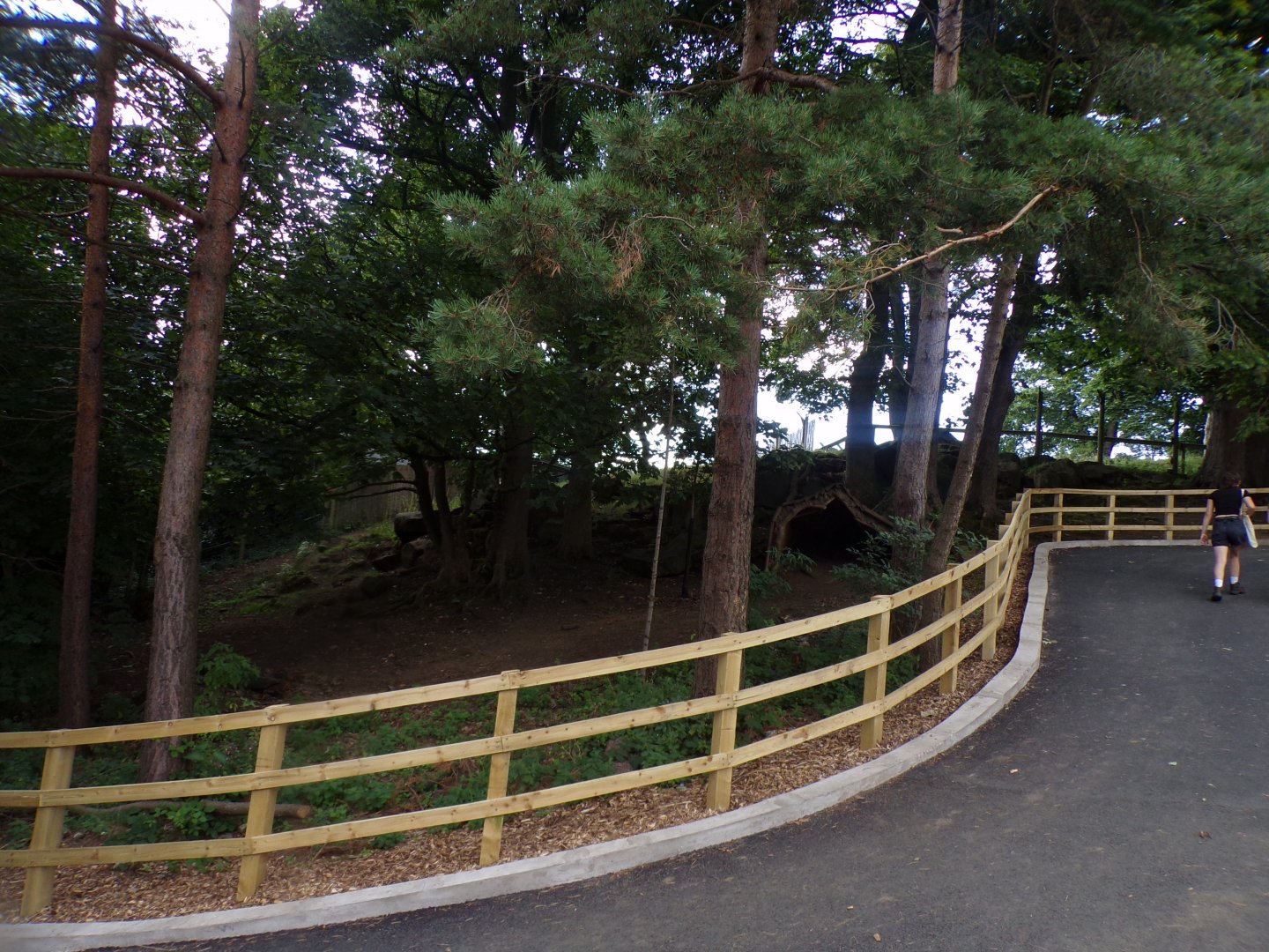 Former nyala enclosure (fencing removed) 18.7.25