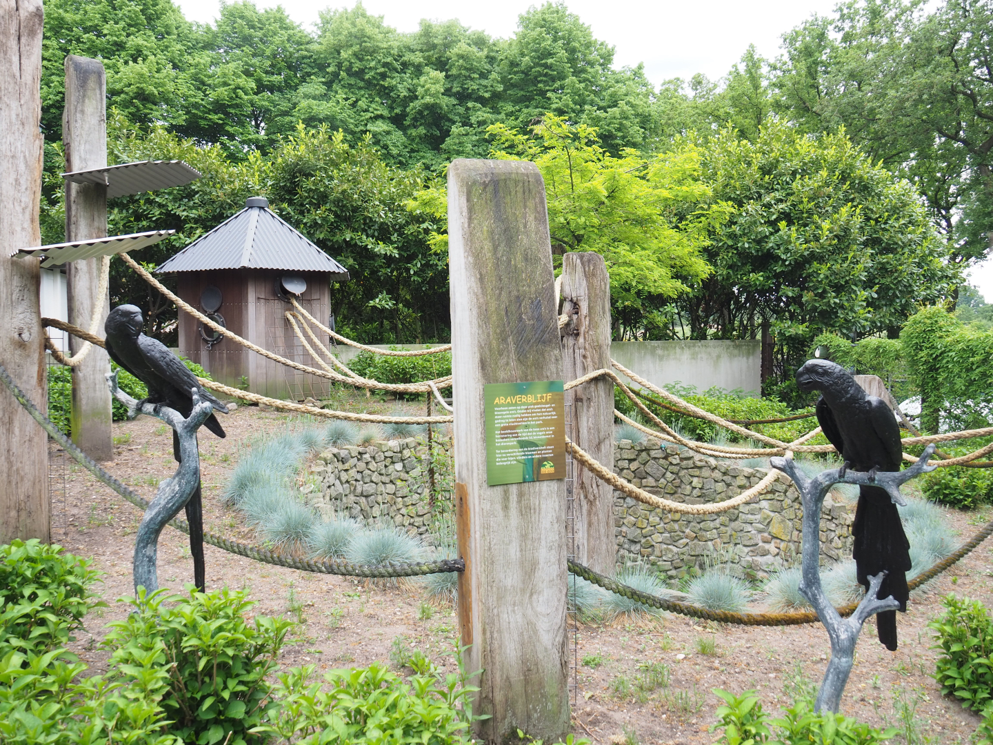 Former open-topped macaw exhibit, now garden area for insects, 2022-05-17