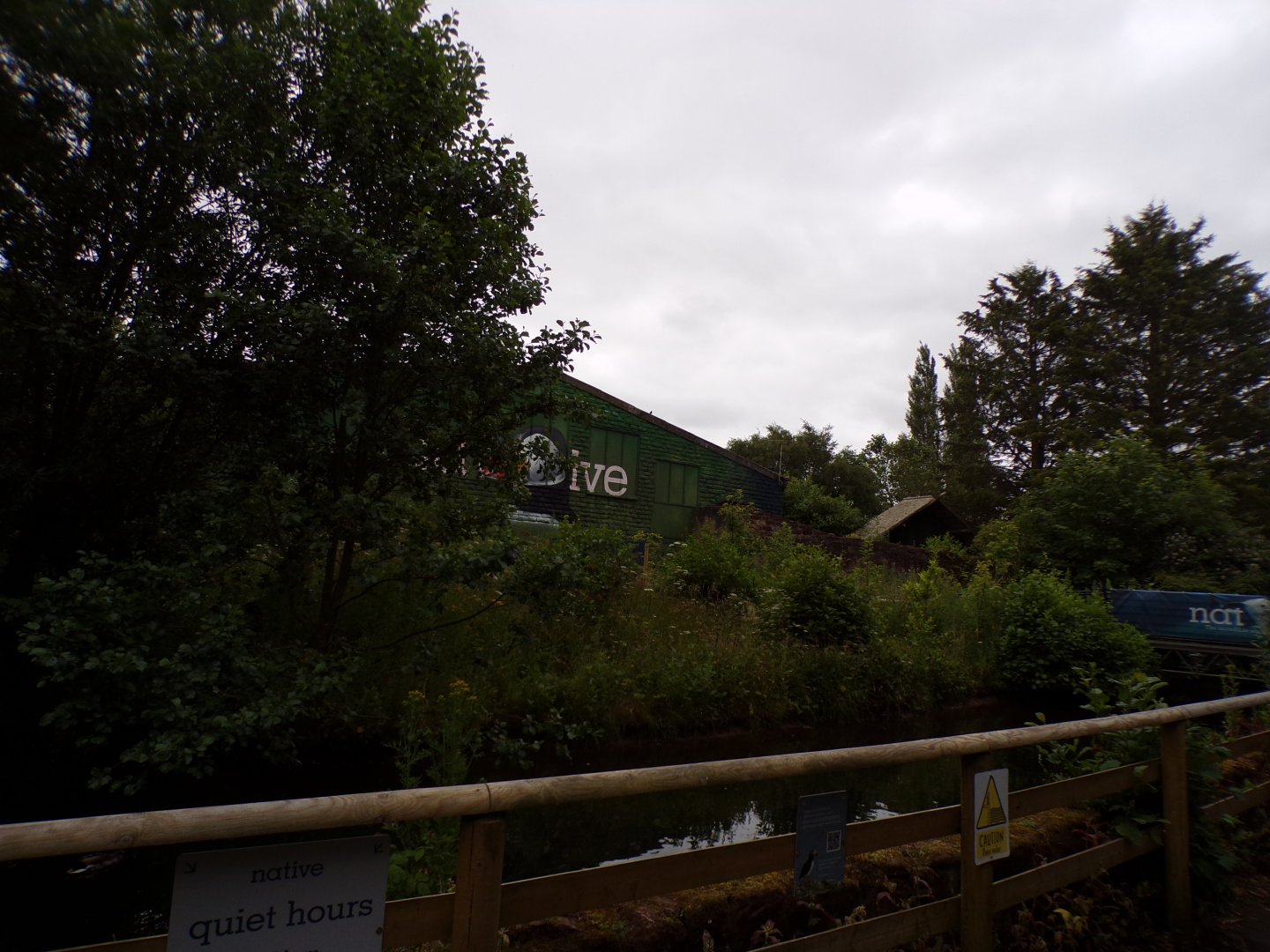 Former orangutan enclosure 29.6.24