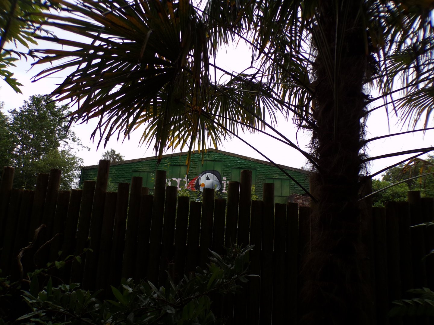 Former orangutan house 29.6.24