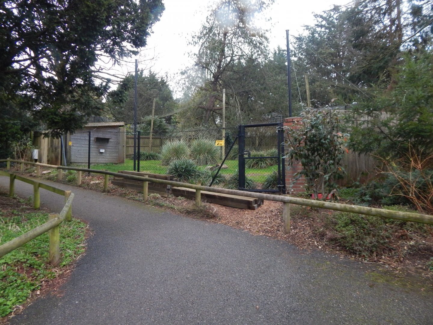 Former Oriental stork aviary 050224