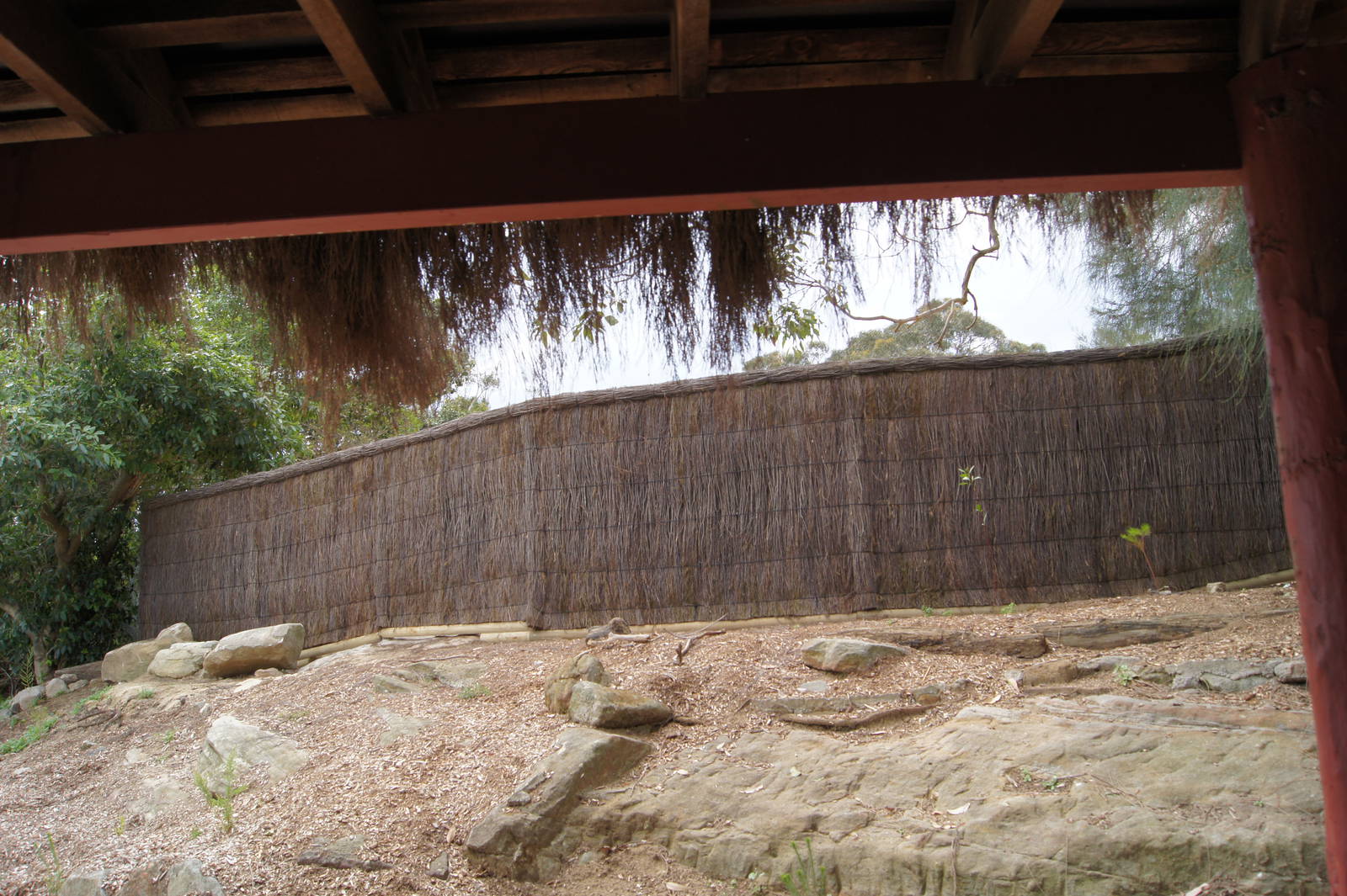 Former Ostrich Exhibit