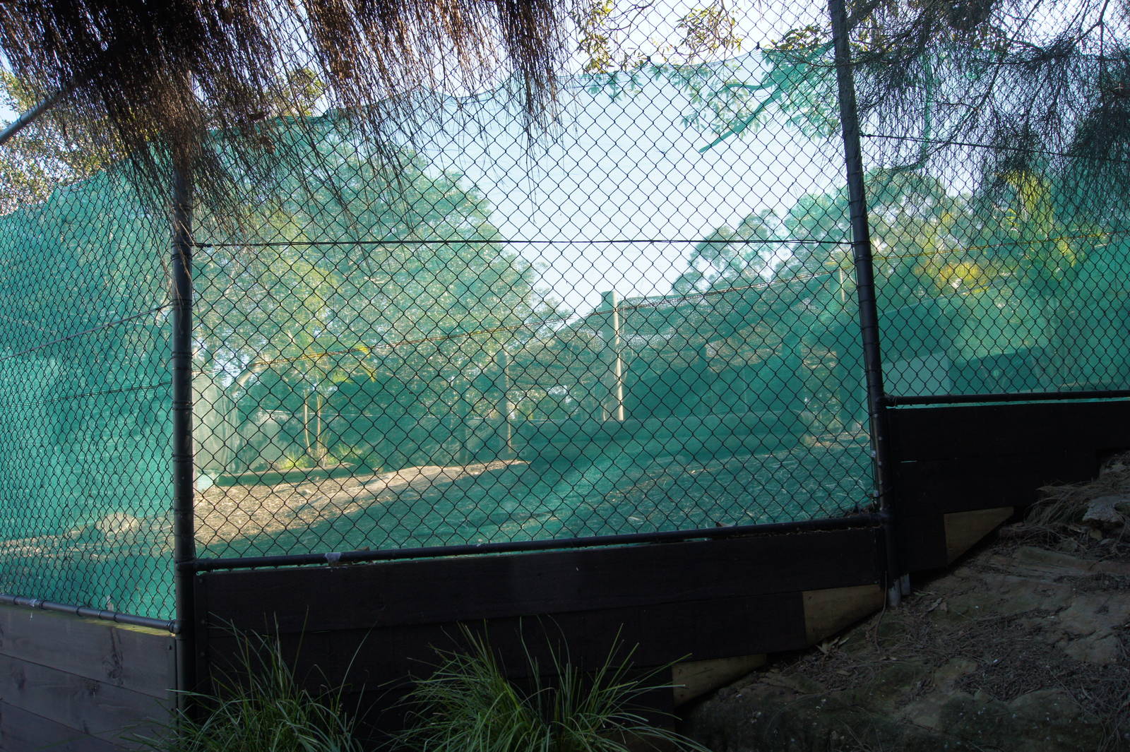 Former ostrich exhibit