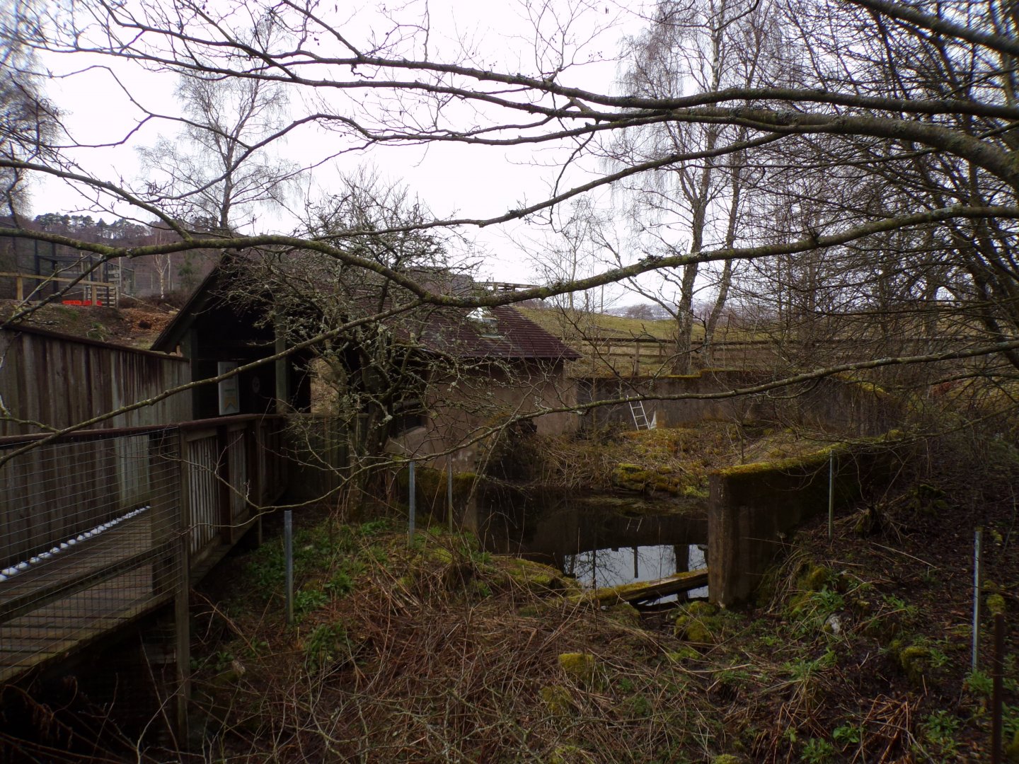 Former otter enclosure 5.4.24