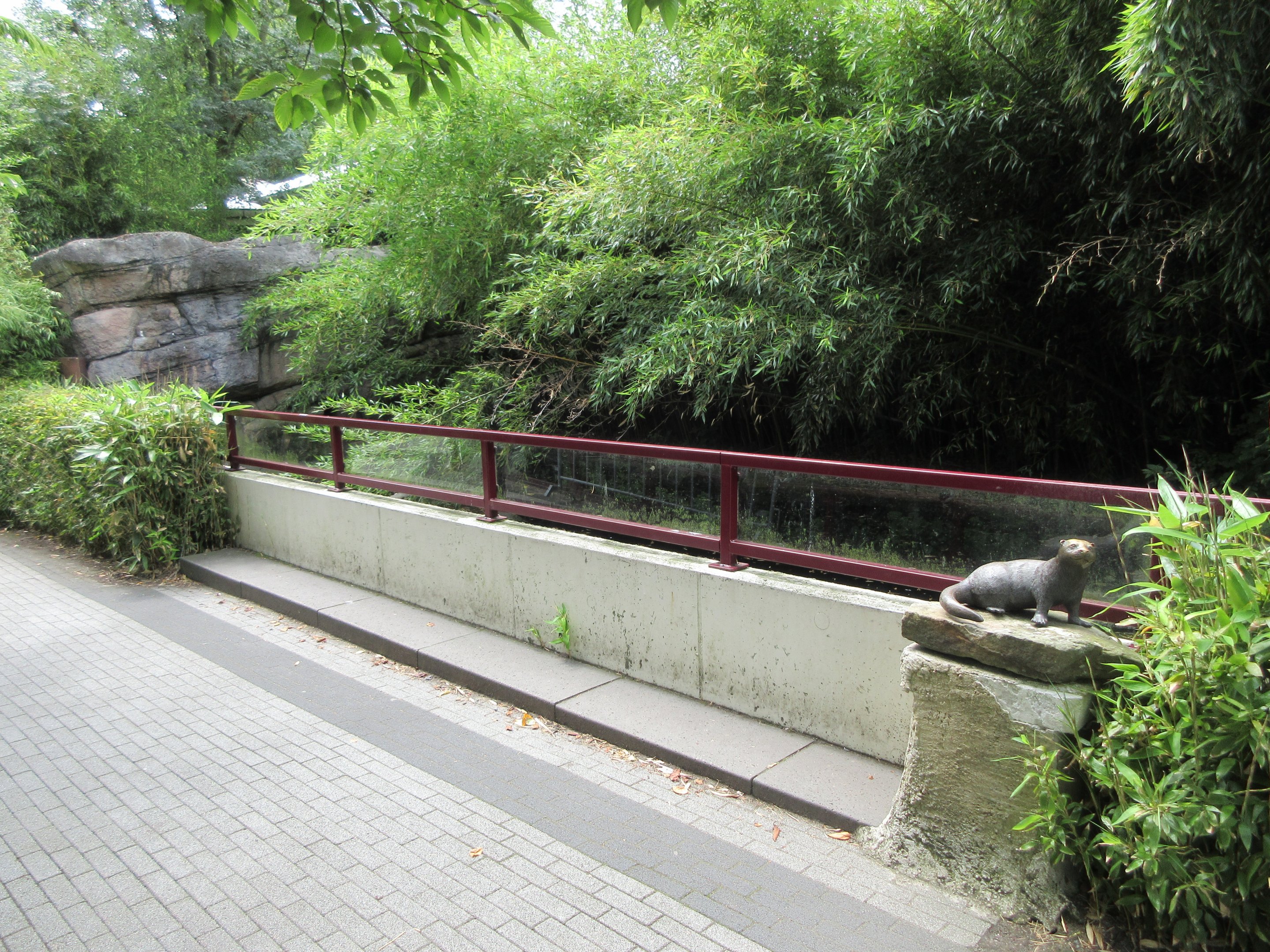 Former Otter Pool? (now just a few ducks)