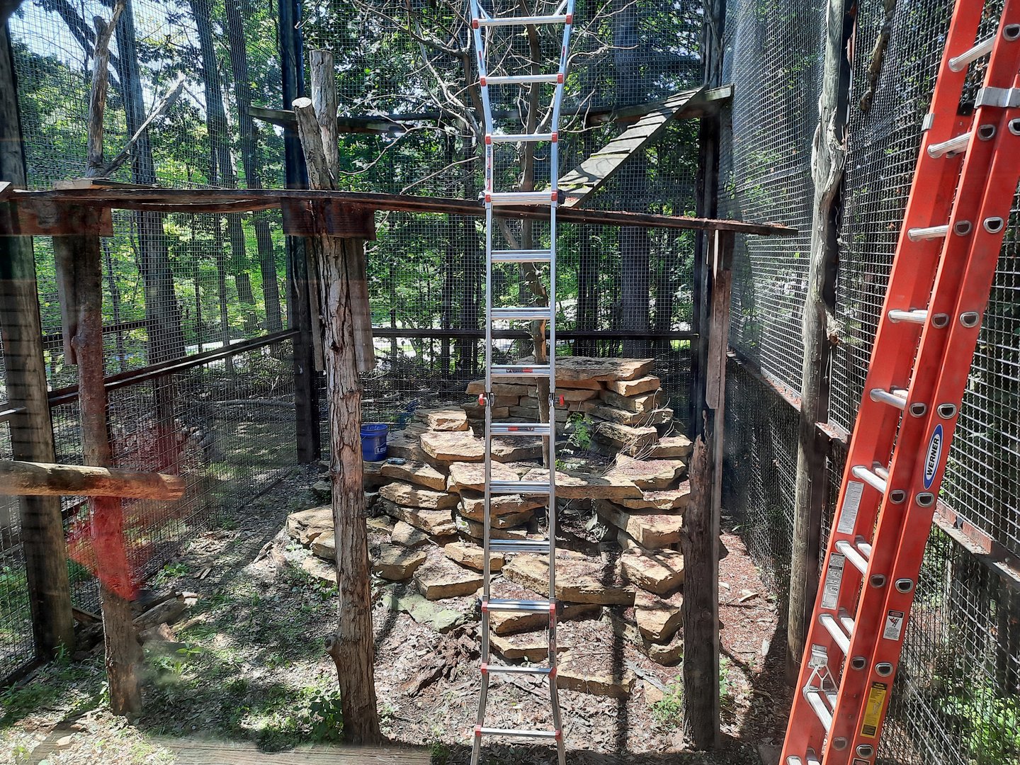 Former Outdoor Snow Leopard Exhibit