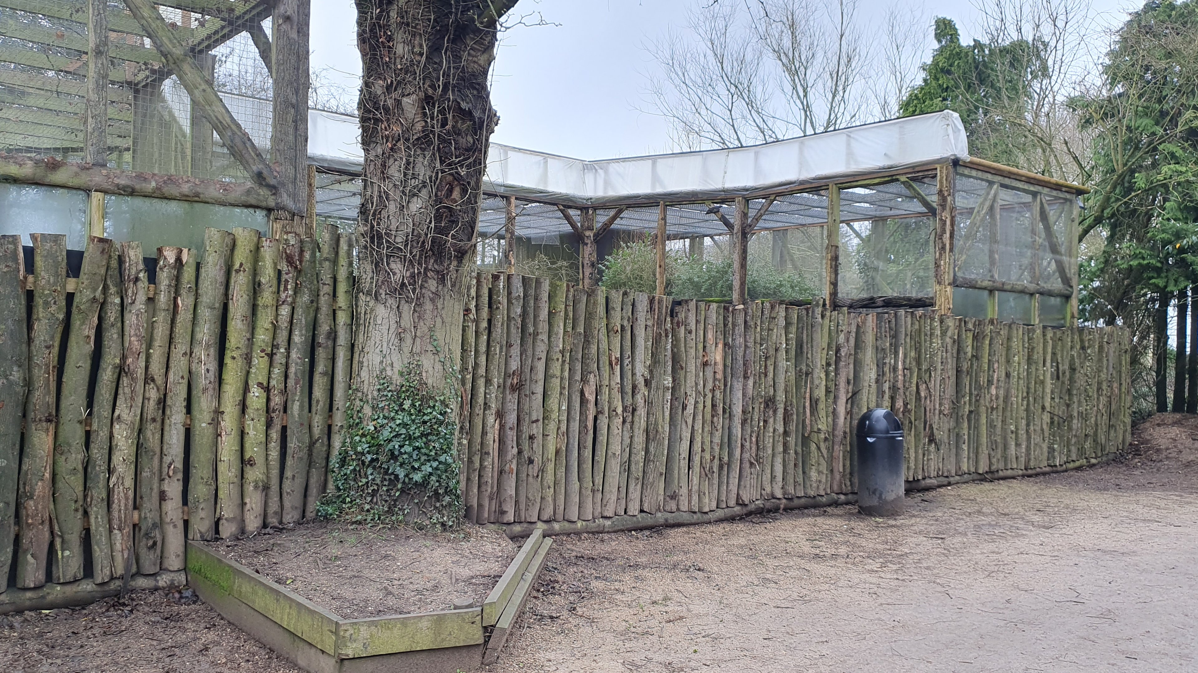 Former Owl Aviaries at Twycross Zoo, 11th February 2024