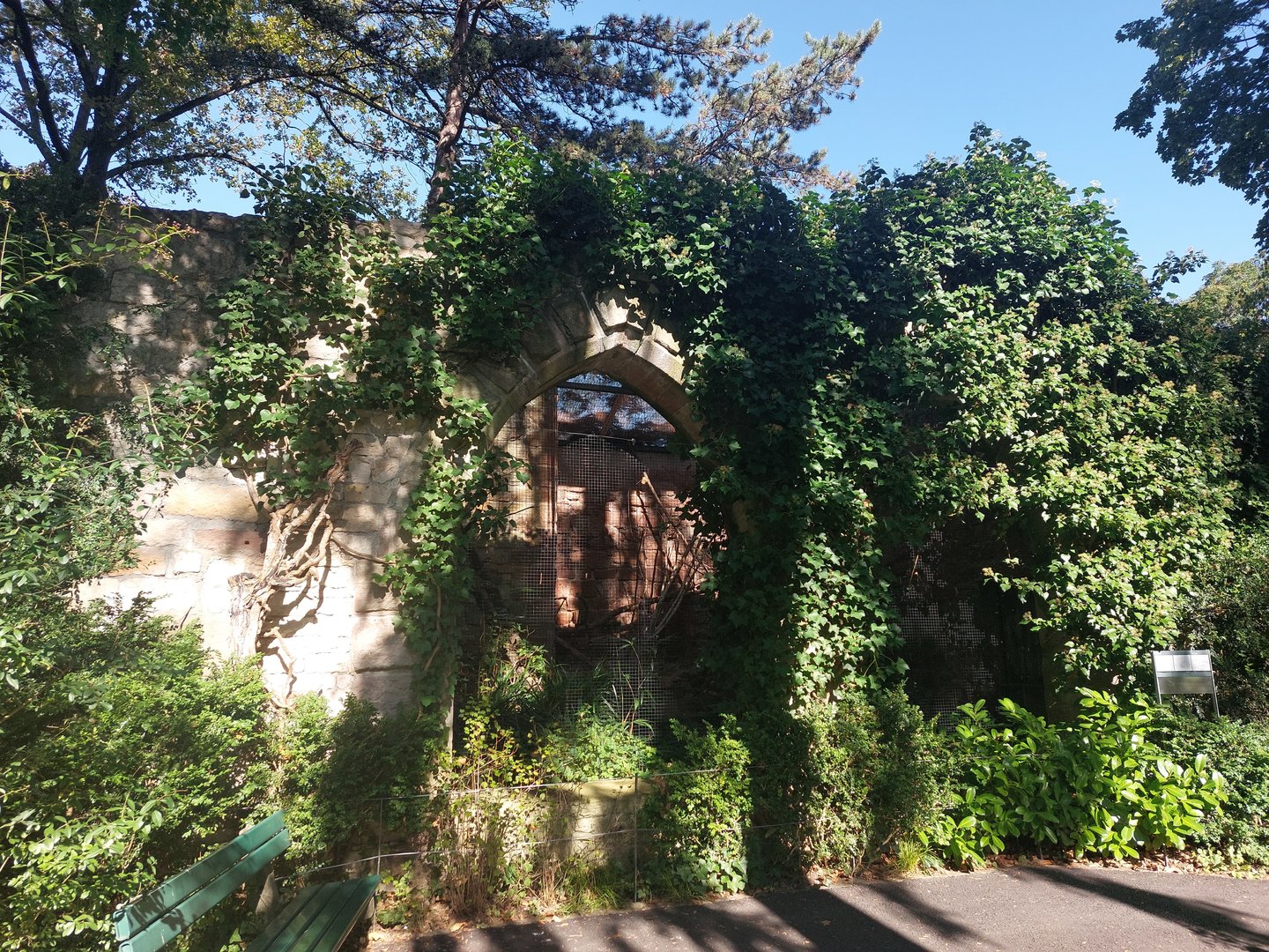 Former owl ruins, now kea