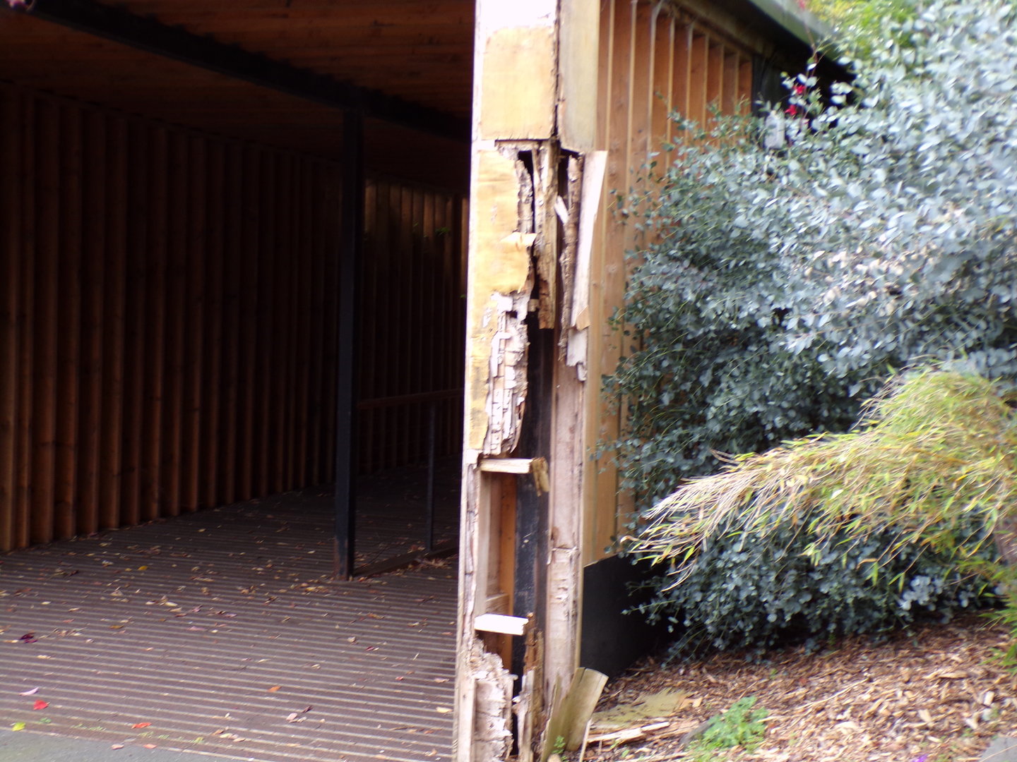 Former panda enclosure rotting