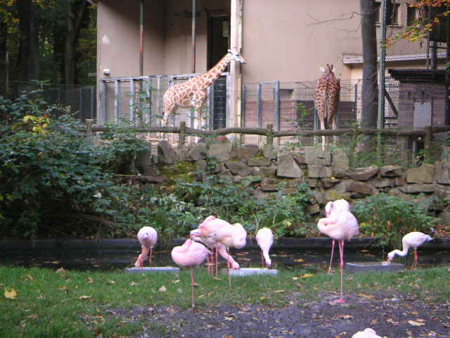 Former Panorama at Gelsenkirchen
