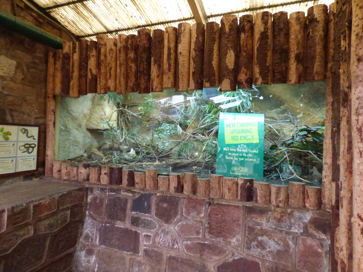 Former Parson's Chameleon Enclosure