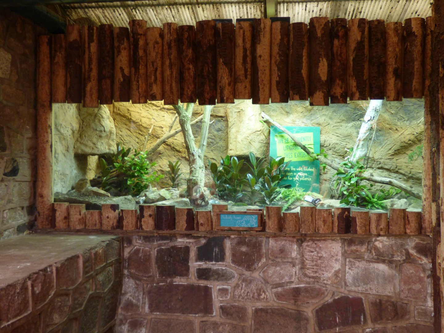 Former Parsons' Chameleon Enclosure