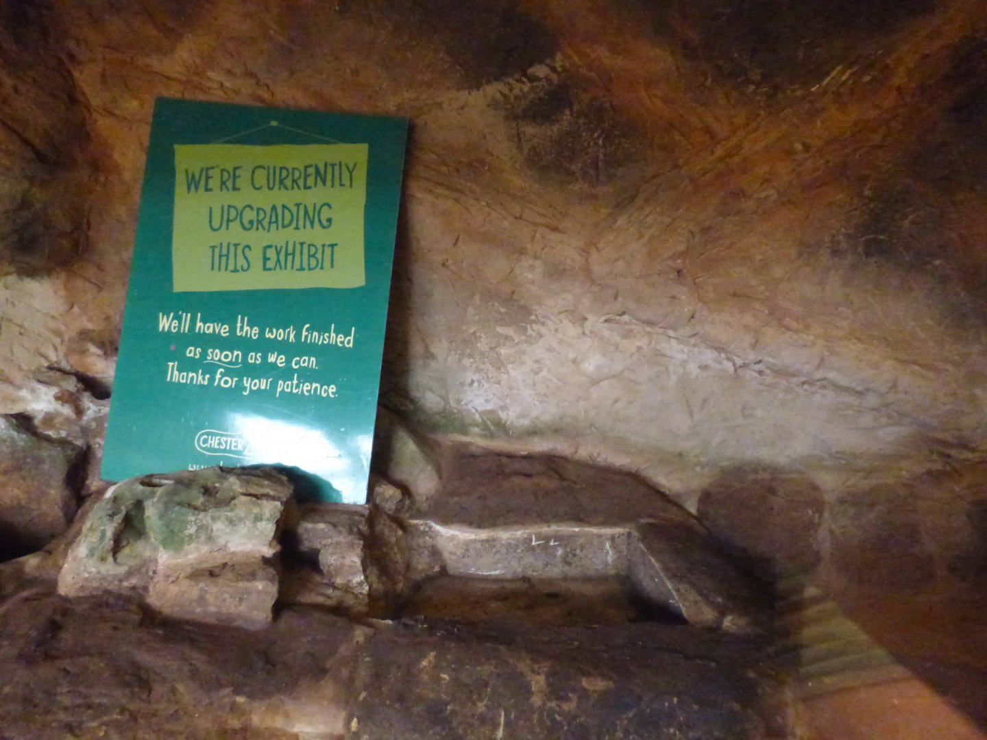 Former Parson's Chameleon Exhibit