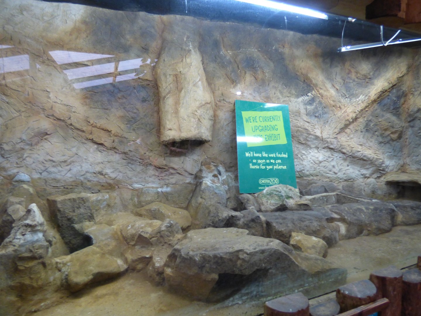 Former Parsons Chameleon Vivarium