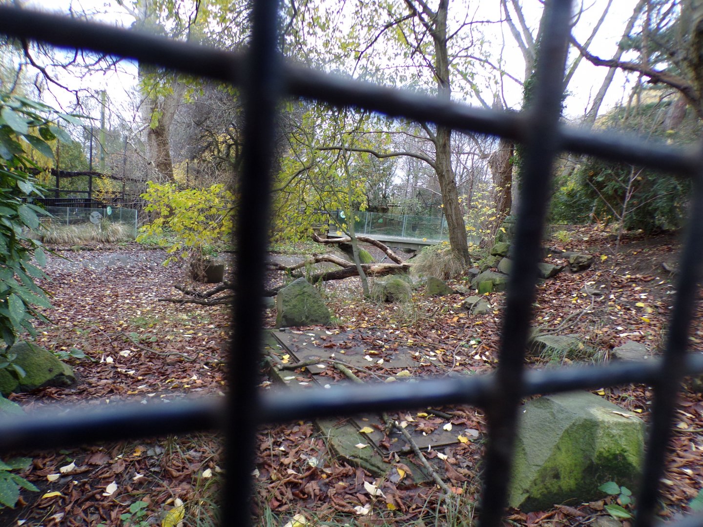 Former pelican enclosure 19.11.23
