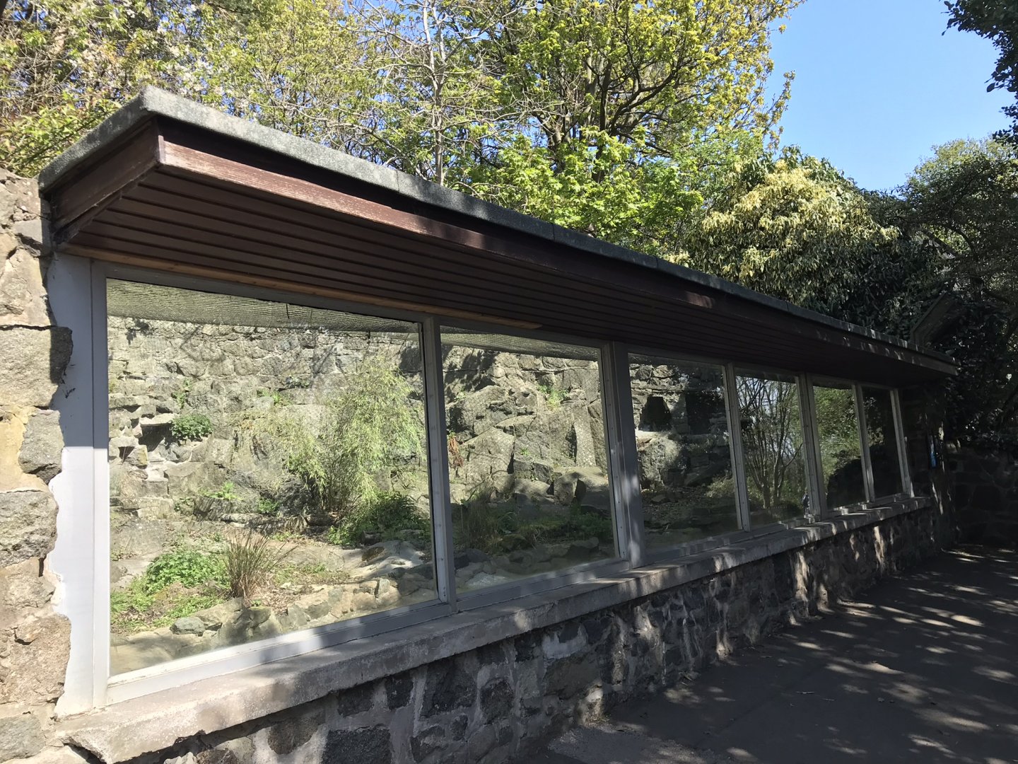 Former penguin/ baer’s pochard enclosure