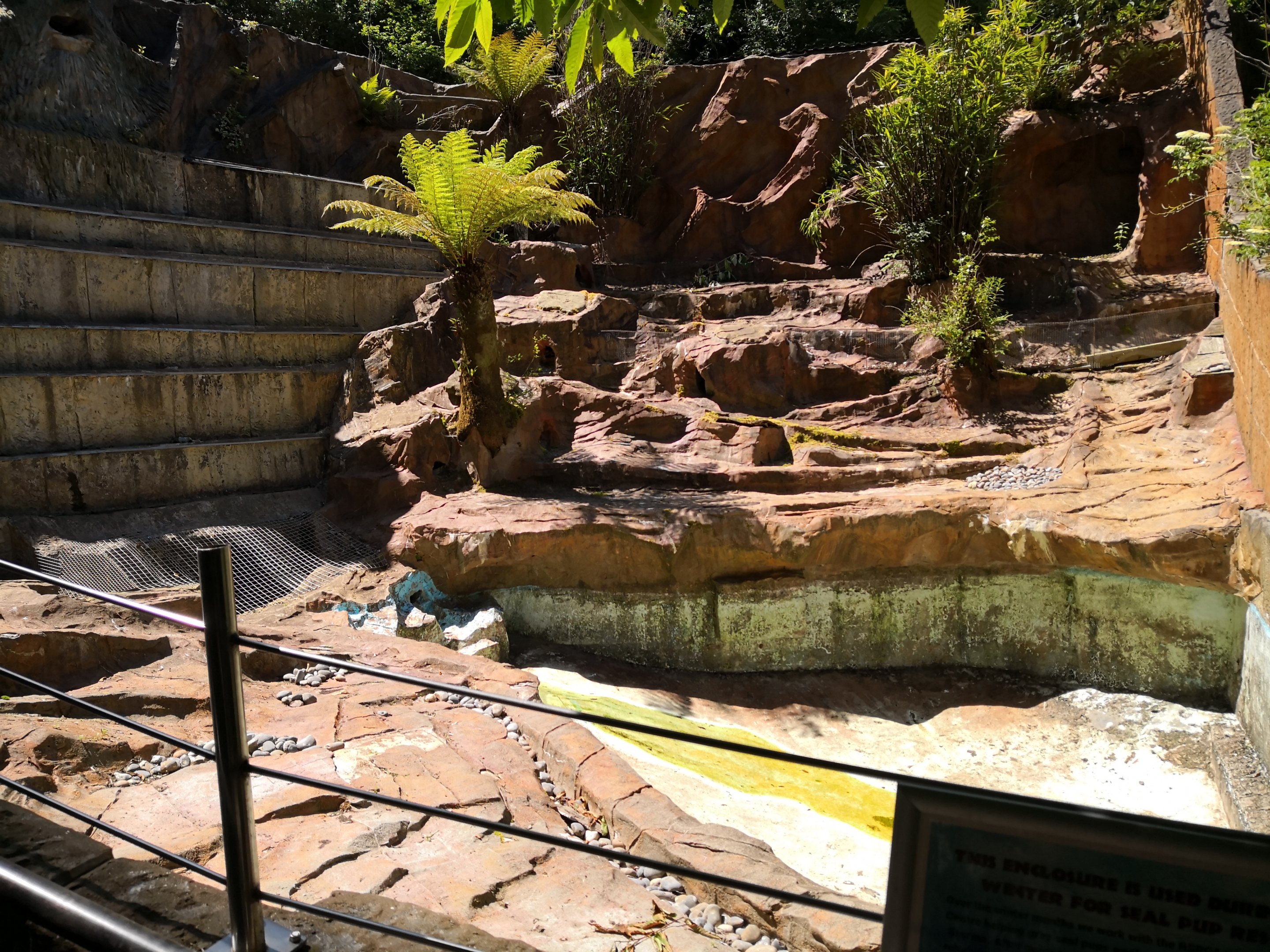 Former Penguin exhibit used for rescue Seals