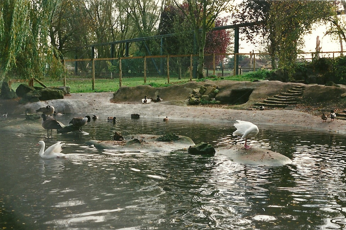 Former Penguin pool 23rd October 1999