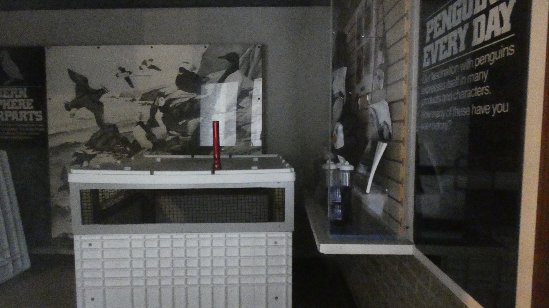 Former Penguinarium Interior - July 2022