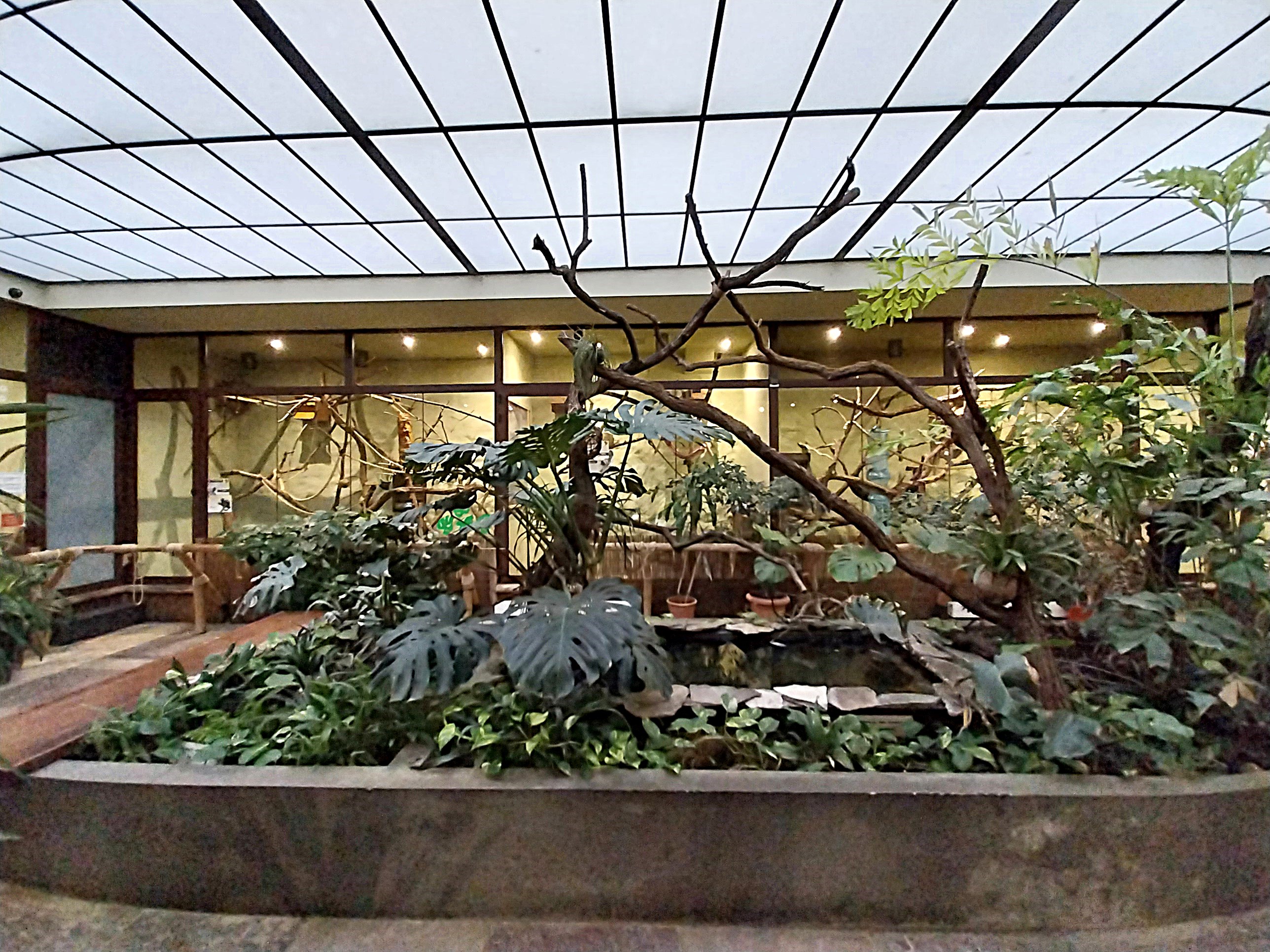 Former Pheasantry - Callithrichidae House