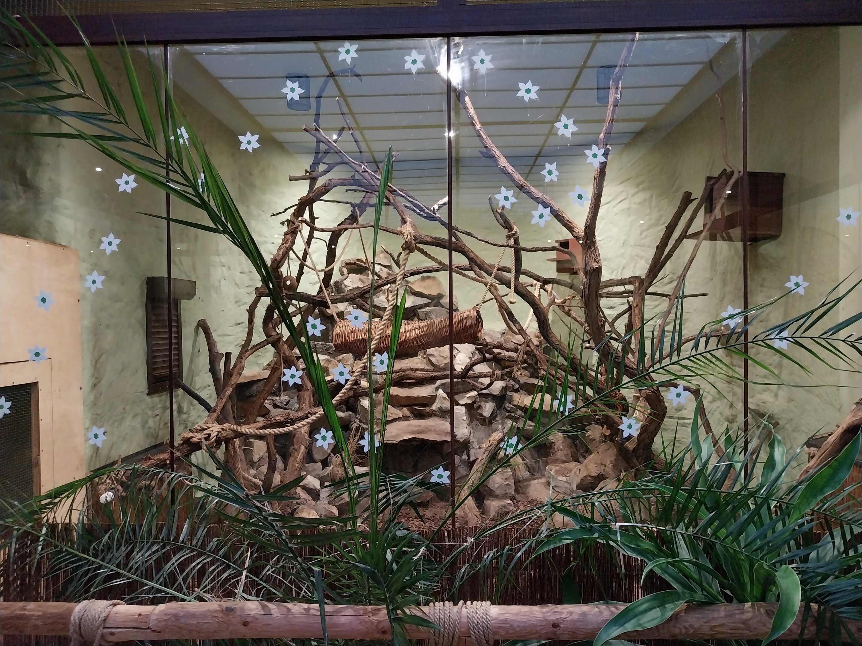 Former Pheasantry - Callithrichidae House