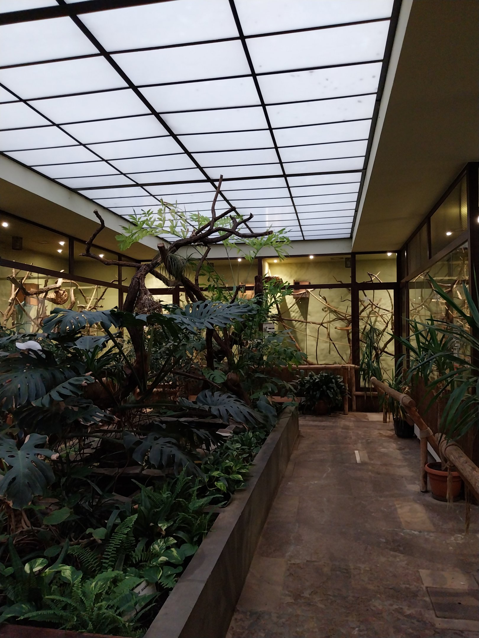 Former Pheasantry - Callithrichidae House