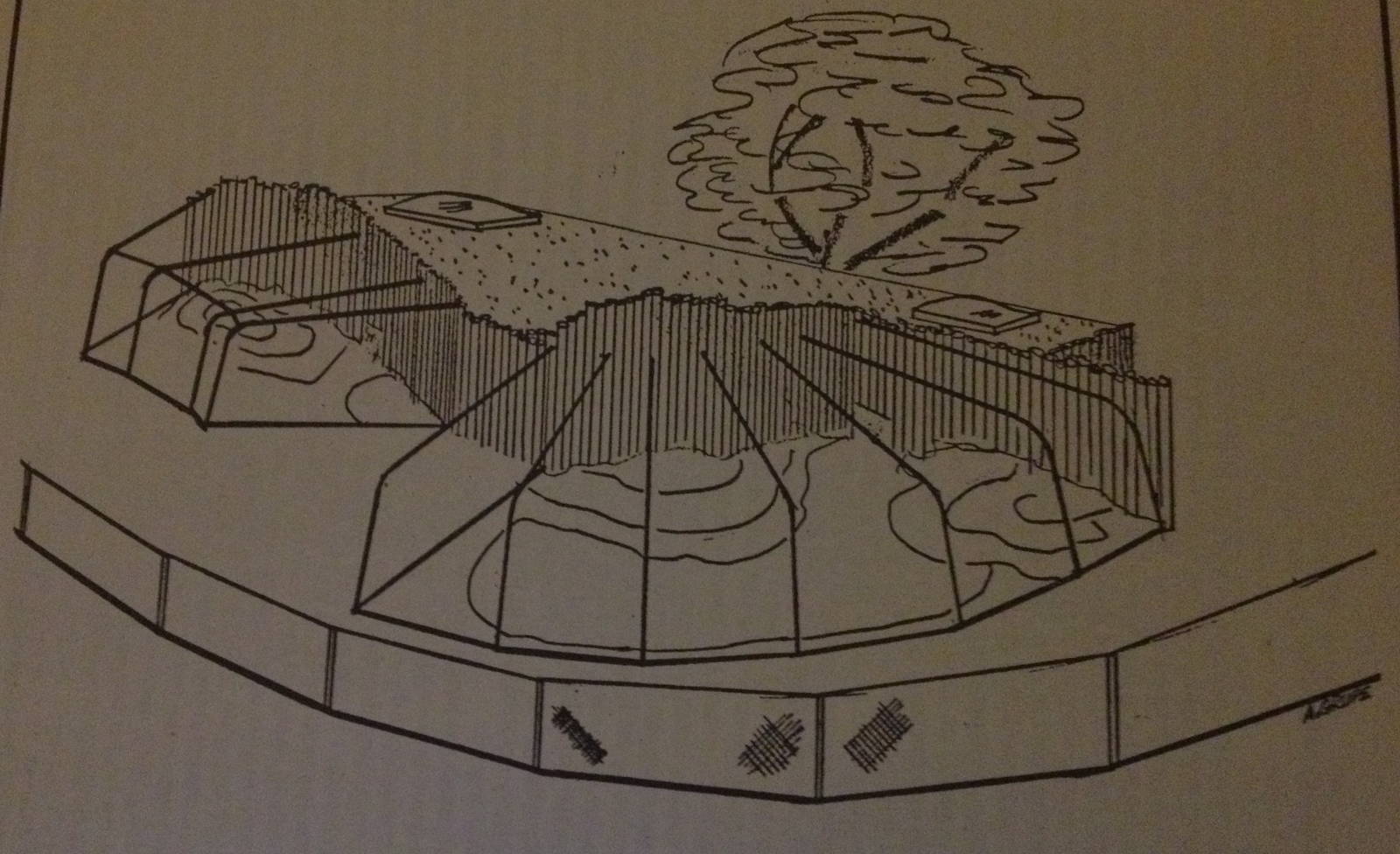 Former plans for ocelot and mountain lion enclosures