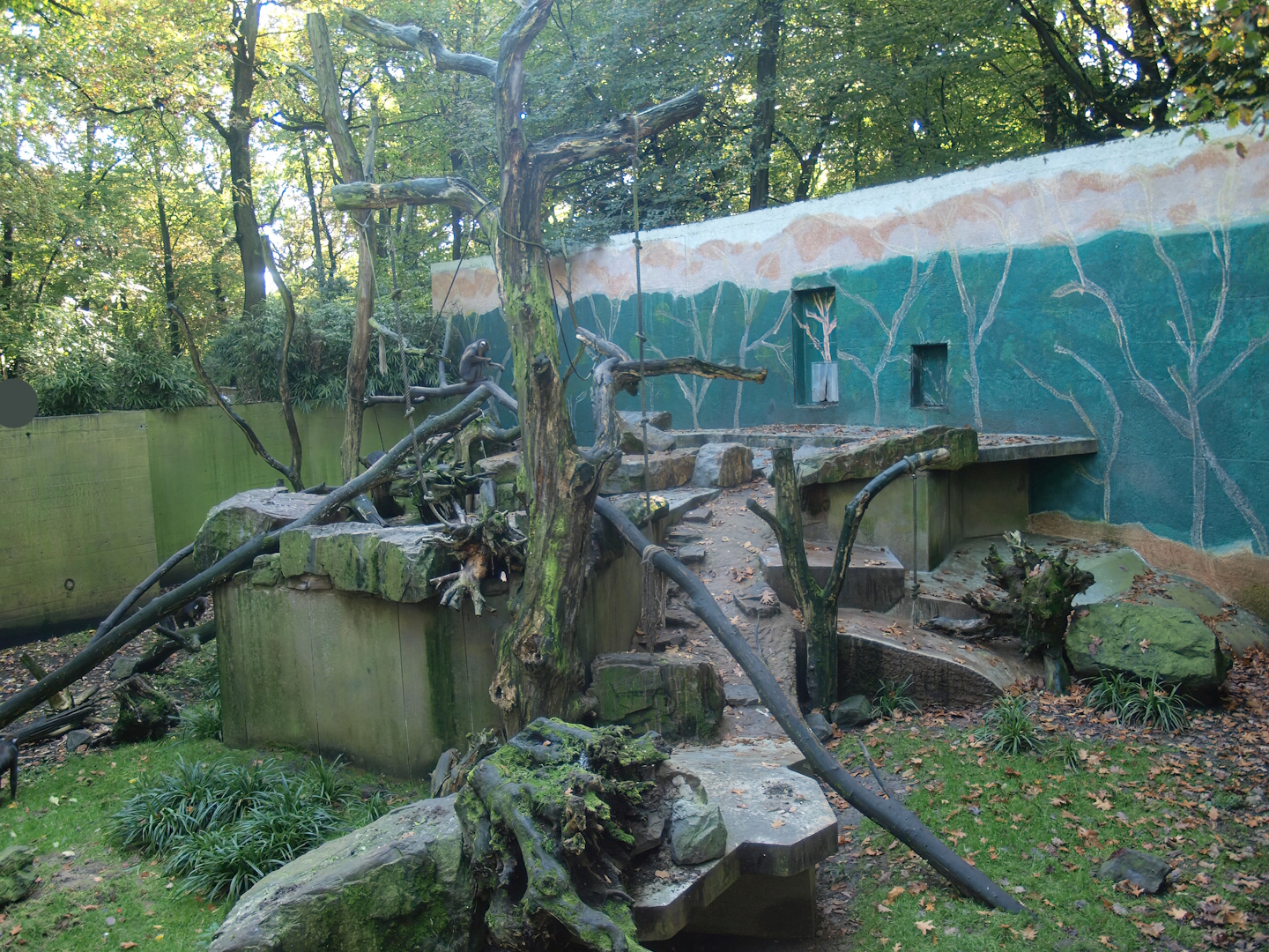 Former polar bear and fur seal exhibit, used as a Mandrill exhibit at the time (Now gone), 2014-10-19