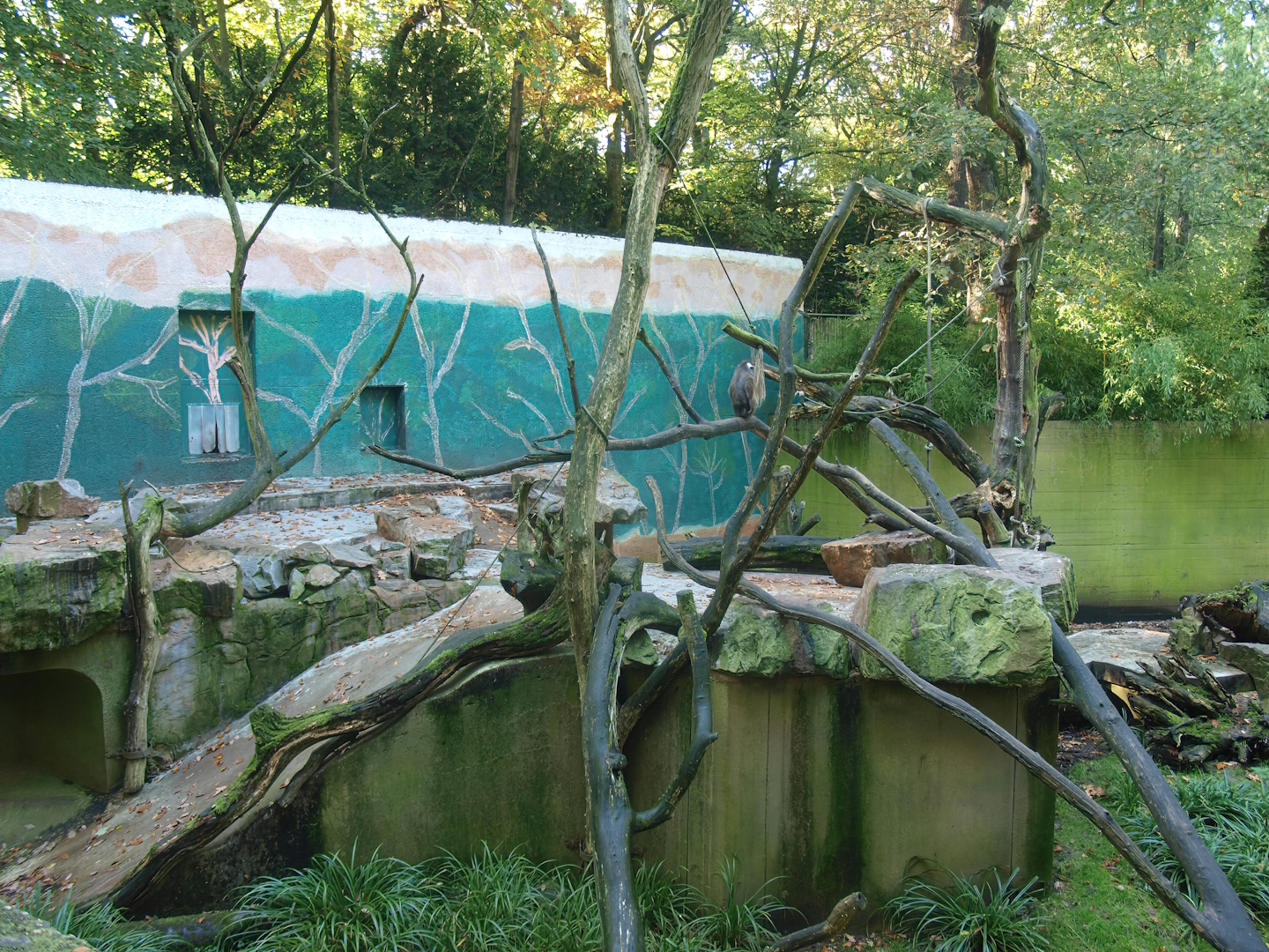Former polar bear and fur seal exhibit, used as a Mandrill exhibit at the time (Now gone), 2014-10-19