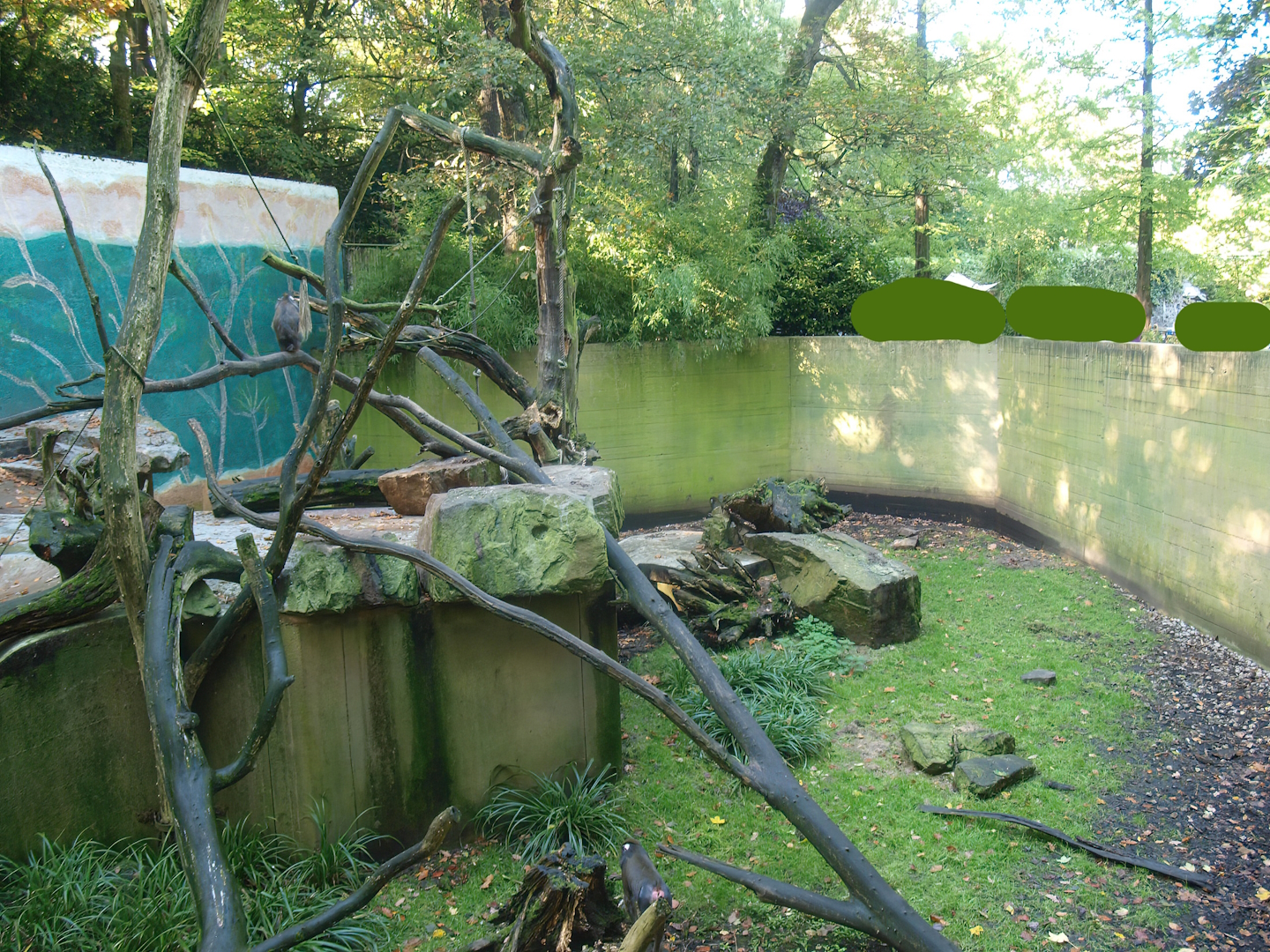 Former polar bear and fur seal exhibit, used as a Mandrill exhibit at the time (Now gone), 2014-10-19