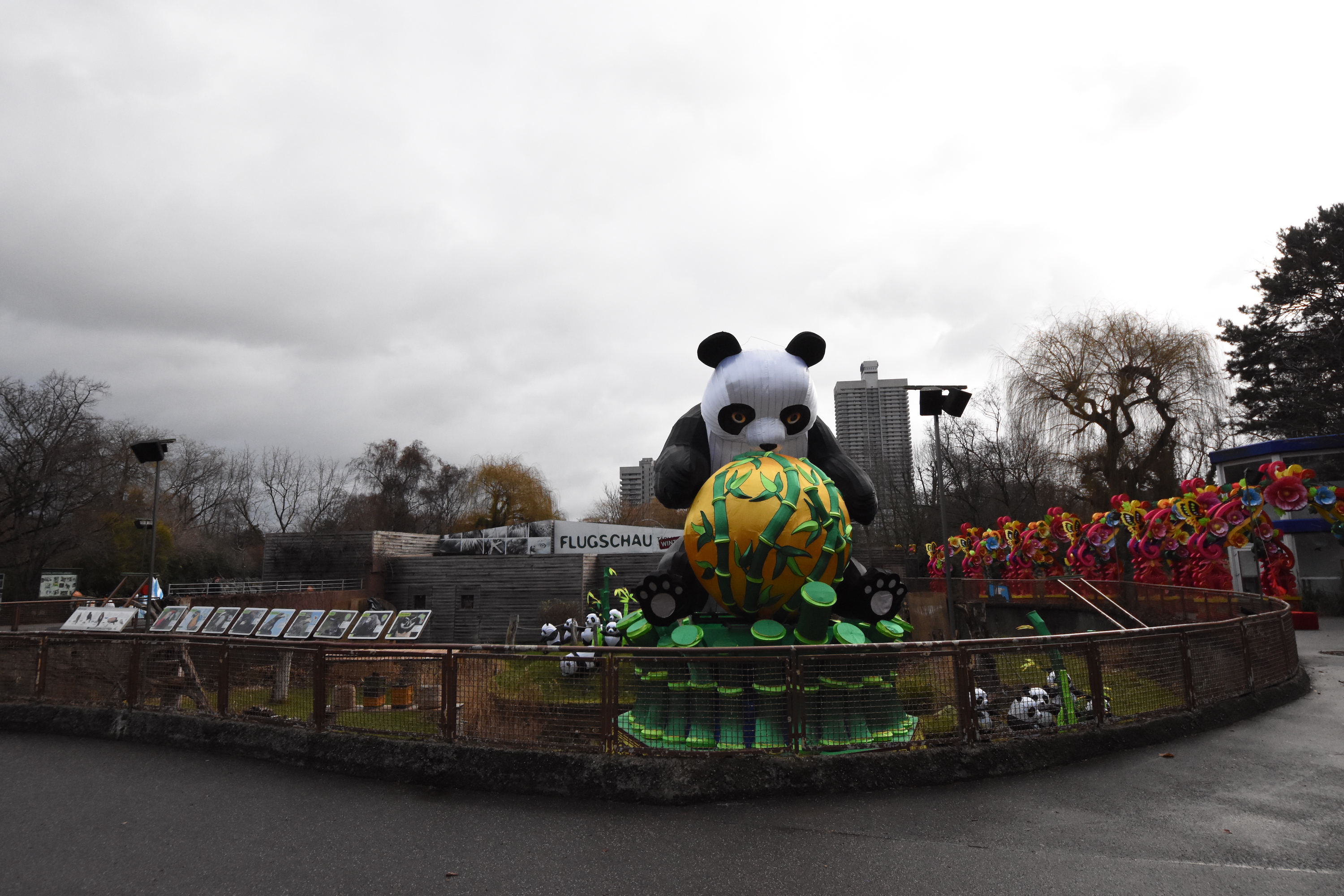 Former Polar bear enclosure, now panda